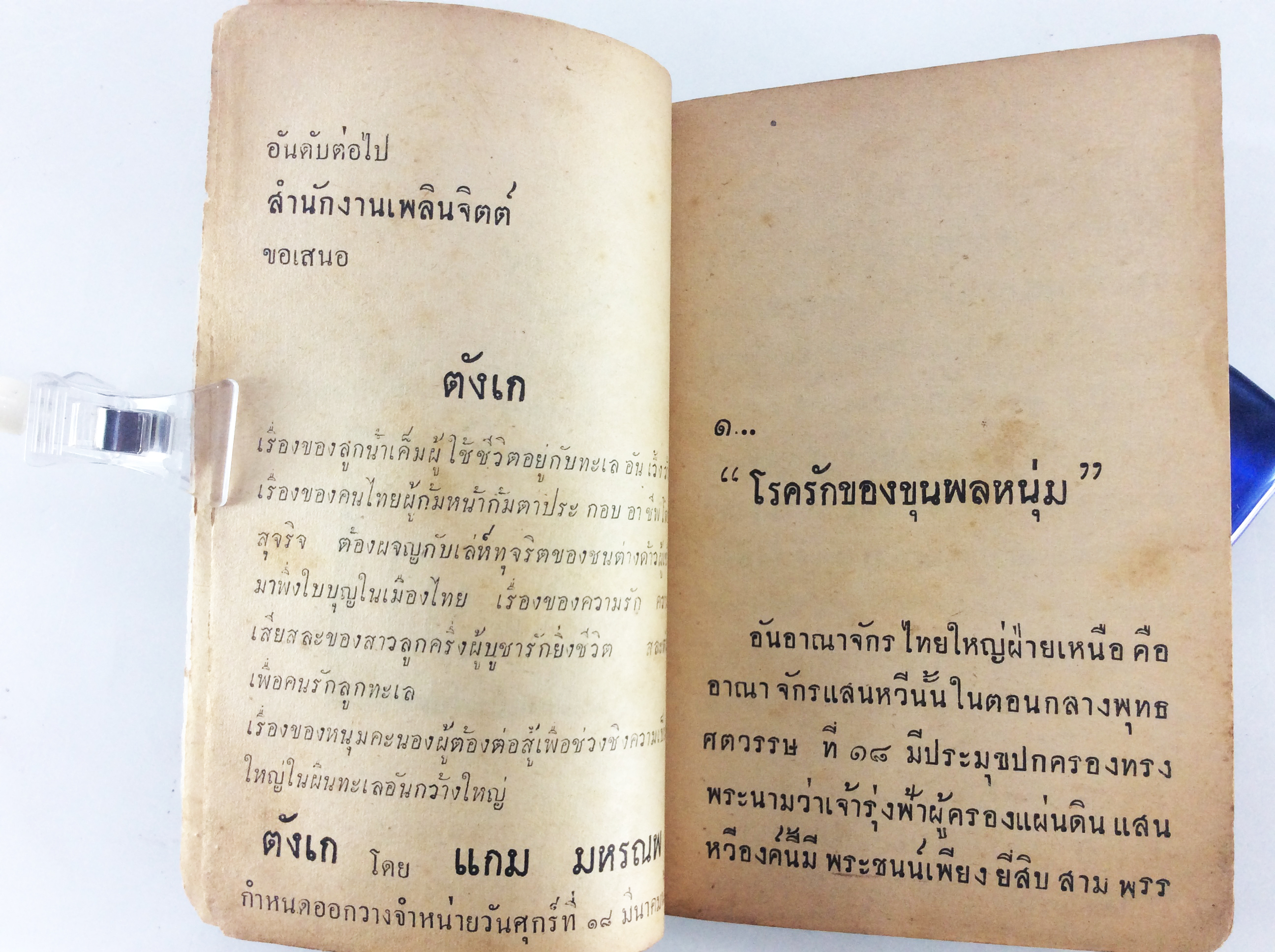 เลือดแสนหวี ลพบรี นิยายเก่าหายาก นิยายสะสม หนังสือปกสวย นิยาย หนังสือ