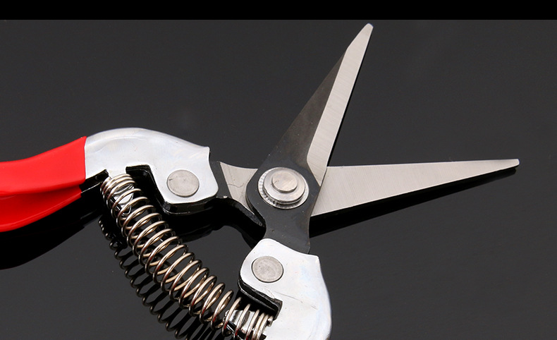 กรรไกรตัดกิ่งผลไม้/เก็บผลไม้ ยี่ห้อซากาวะดะ(Sagawada) ของแท้ เหล็กแข็ง SK5 ใช้ดี ทนทาน [ขายส่ง]