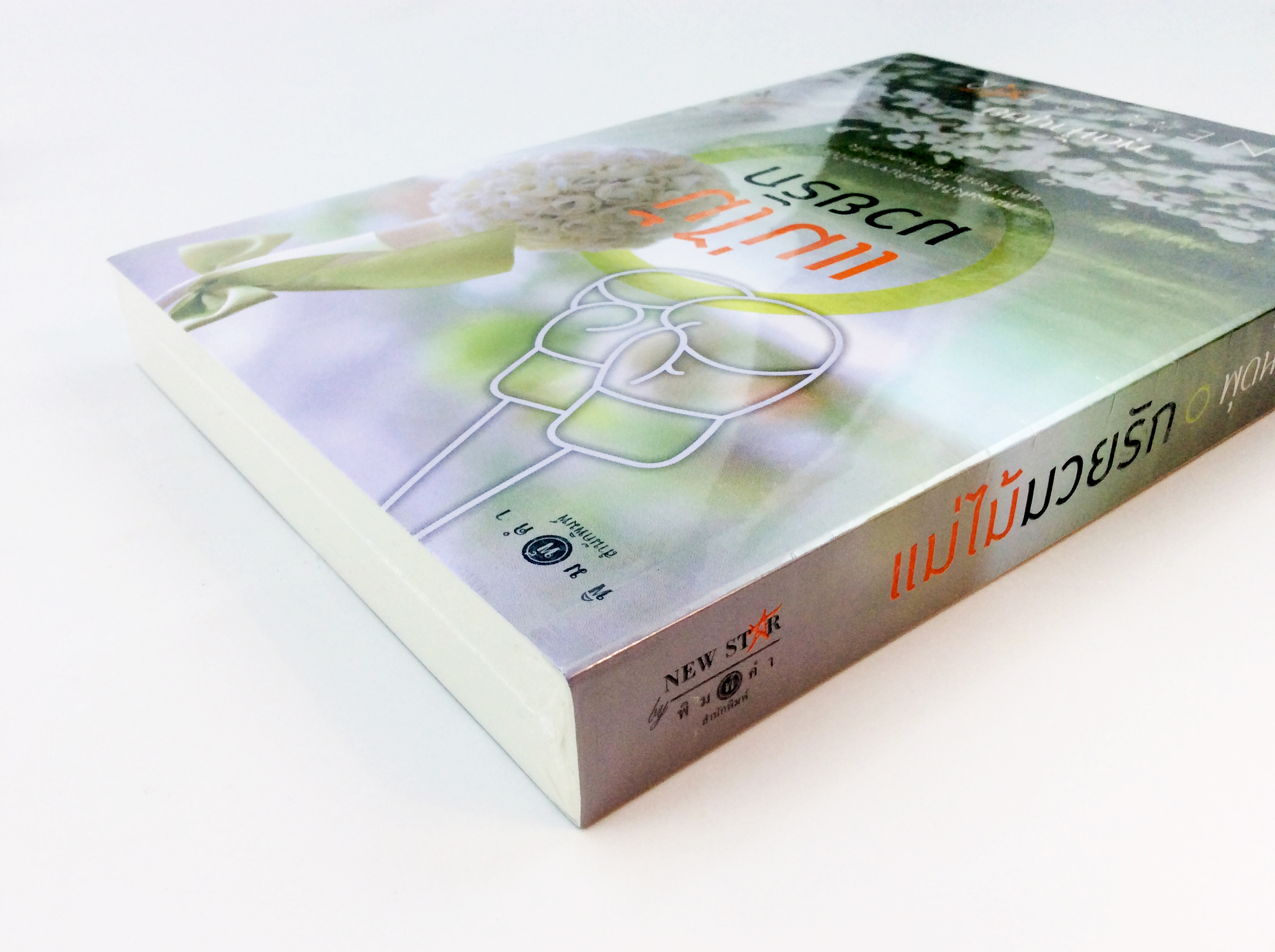 แม่ไม้ มวยรัก นิยาย นิยายลดราคา หนังสือนิยาย