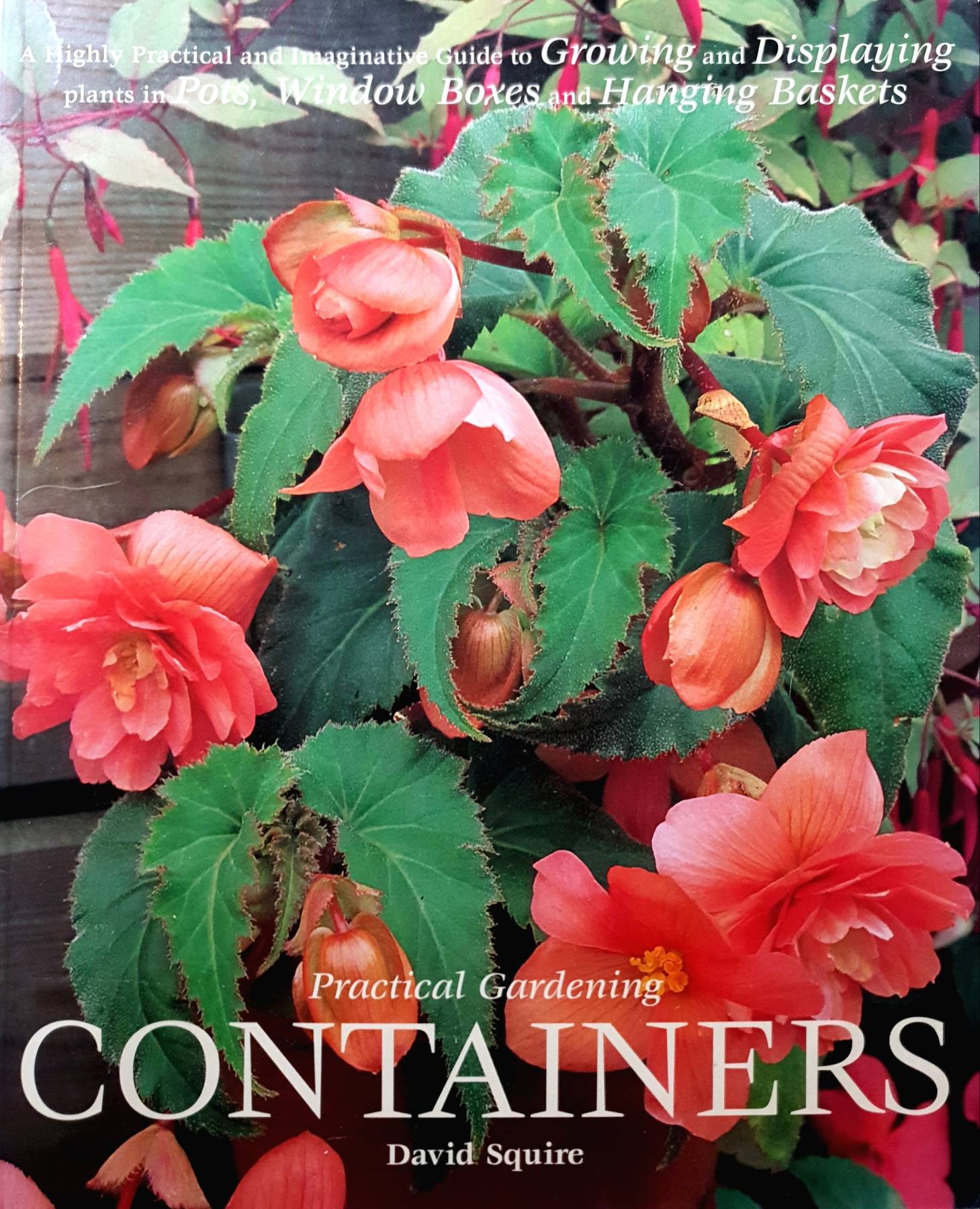 Practical Gardening : Containers (Practical Gardening) : David Squire