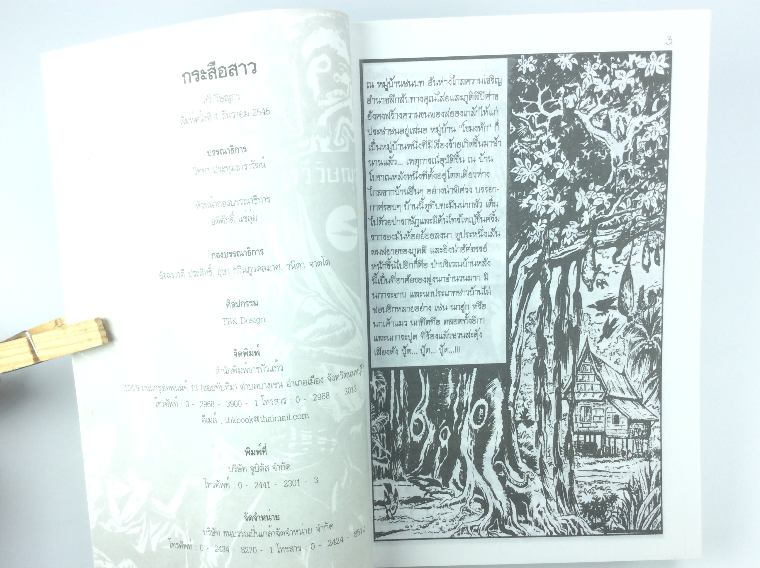 กระสือสาว การ์ตูนไทย นิยายภาพไทย การ์ตูนผี หนังสือ หนังสือสะสม หนังสือหายาก