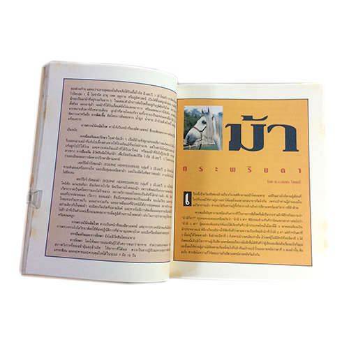 การแข่งขันม้าชิงถ้วยพระราชทาน ดาร์บี้ หนังสือ กีฬา