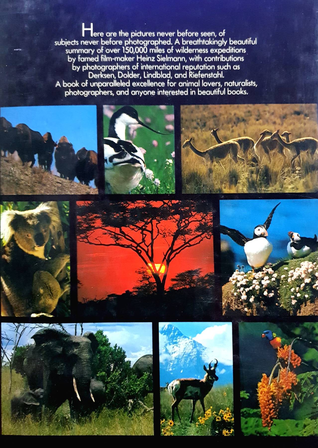 Wilderness Expeditions Hardcover – January 1, 1981