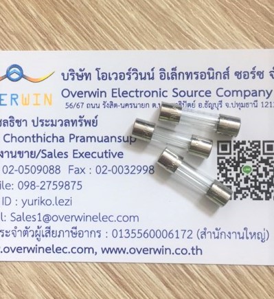 Fuses 10A 250V 5*20mm