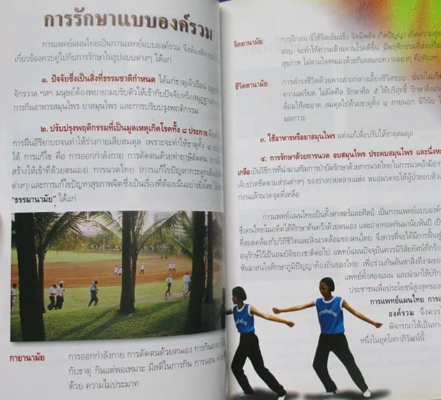 การแพทย์แผนไทย