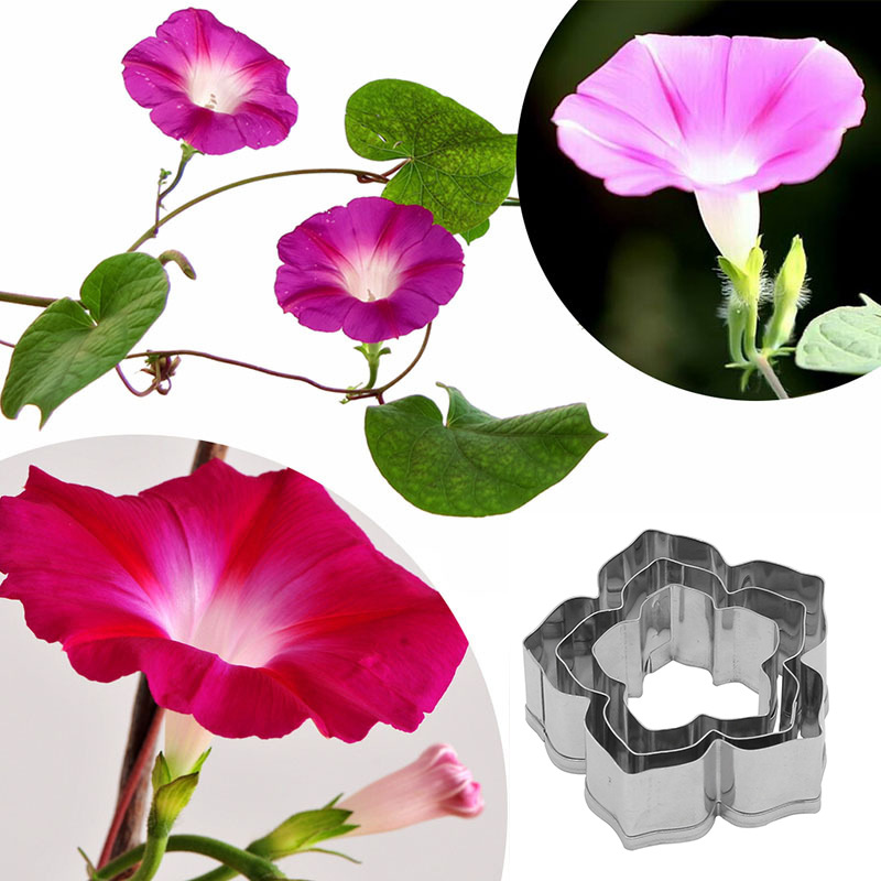 แม่พิมพ์ดอกไม้สแตนเลสดอกพิทูเนียPetuniaดอกไม้รูปร่างแม่พิมพ์ชุดA452 petunia flower cutter setสำหรับผู้รักการประดิษฐ์ประดอย