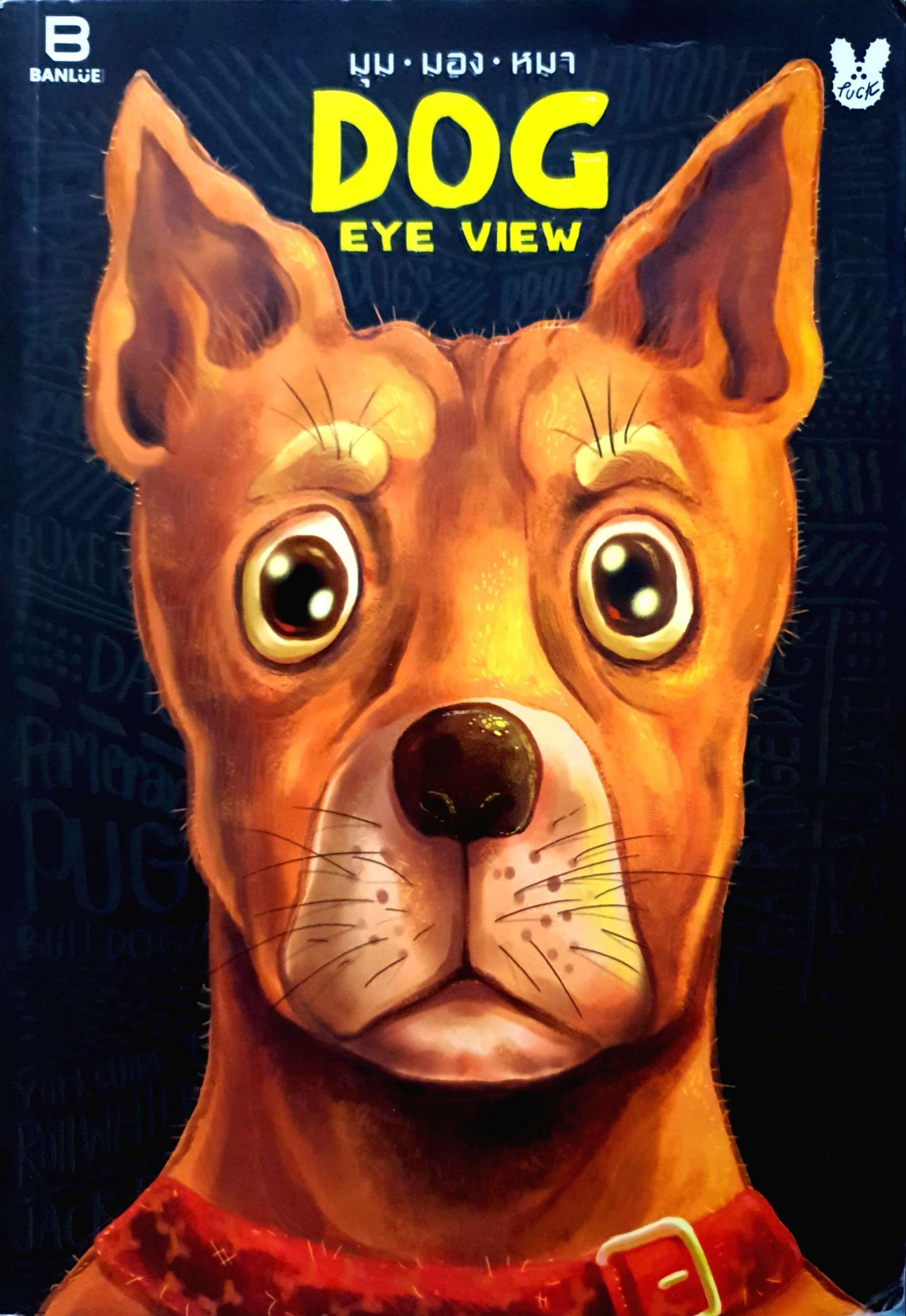 มุม มอง หมา Dog Eye View