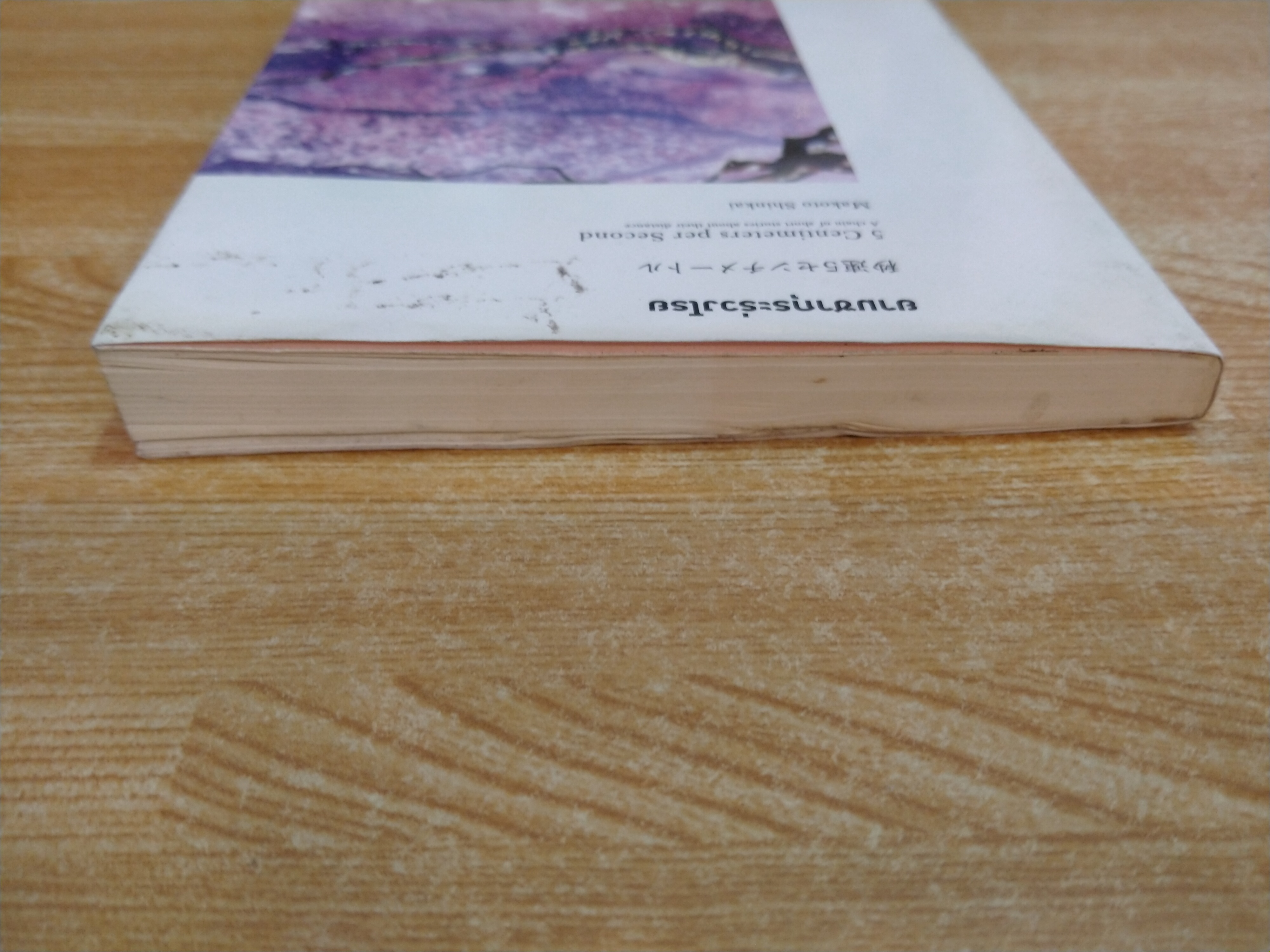 ยามซากุระร่วงโรย