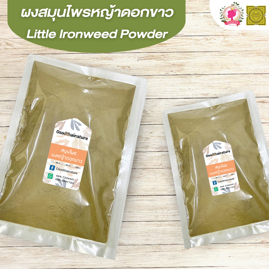 ผงหญ้าดอกขาว (Little Ironweed Powder) ขนาด 500 1000 กรัม ผงหญ้าดอกขาว สมุนไพร แท้ 100% FG-HBP-101