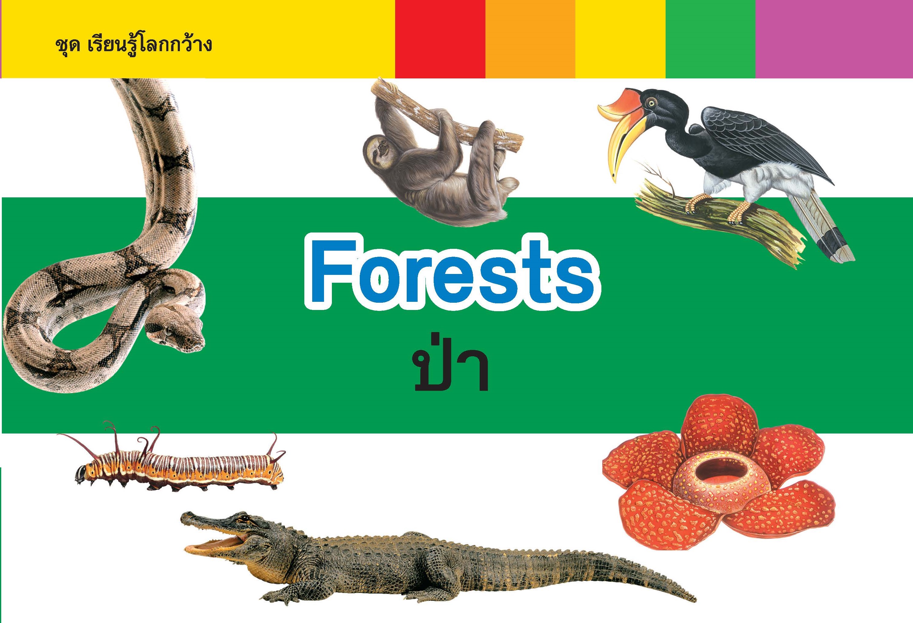 หนังสือเด็ก 2 ภาษา ไทย-Eng : เรียนรู้โลกกว้าง : Forests ป่า