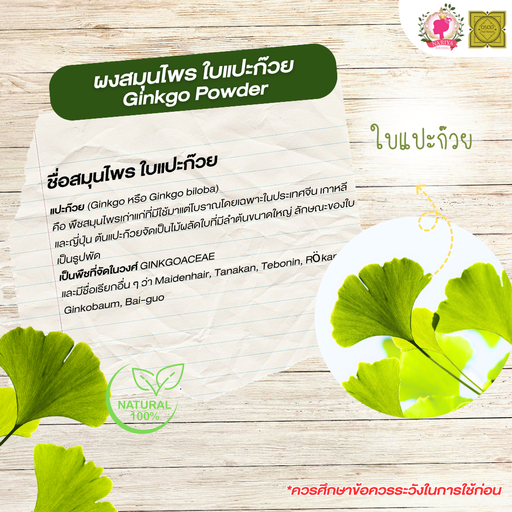 ผงใบแปะก๊วย (Ginkgo Powder) ขนาด 500 1000 กรัม ใบแปะก๊วย บดละเอียด สมุนไพร แท้100% FG-HBP-052