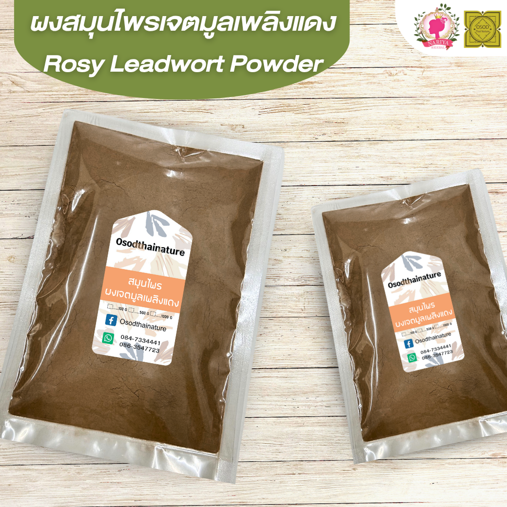 ผงเจตมูลเพลิงแดง (Rosy Leadwort Powder) ขนาด 500 1000 กรัม เจตมูลเพลิงแดง บดละเอียด สมุนไพร แท้ 100% FG-HBP-027