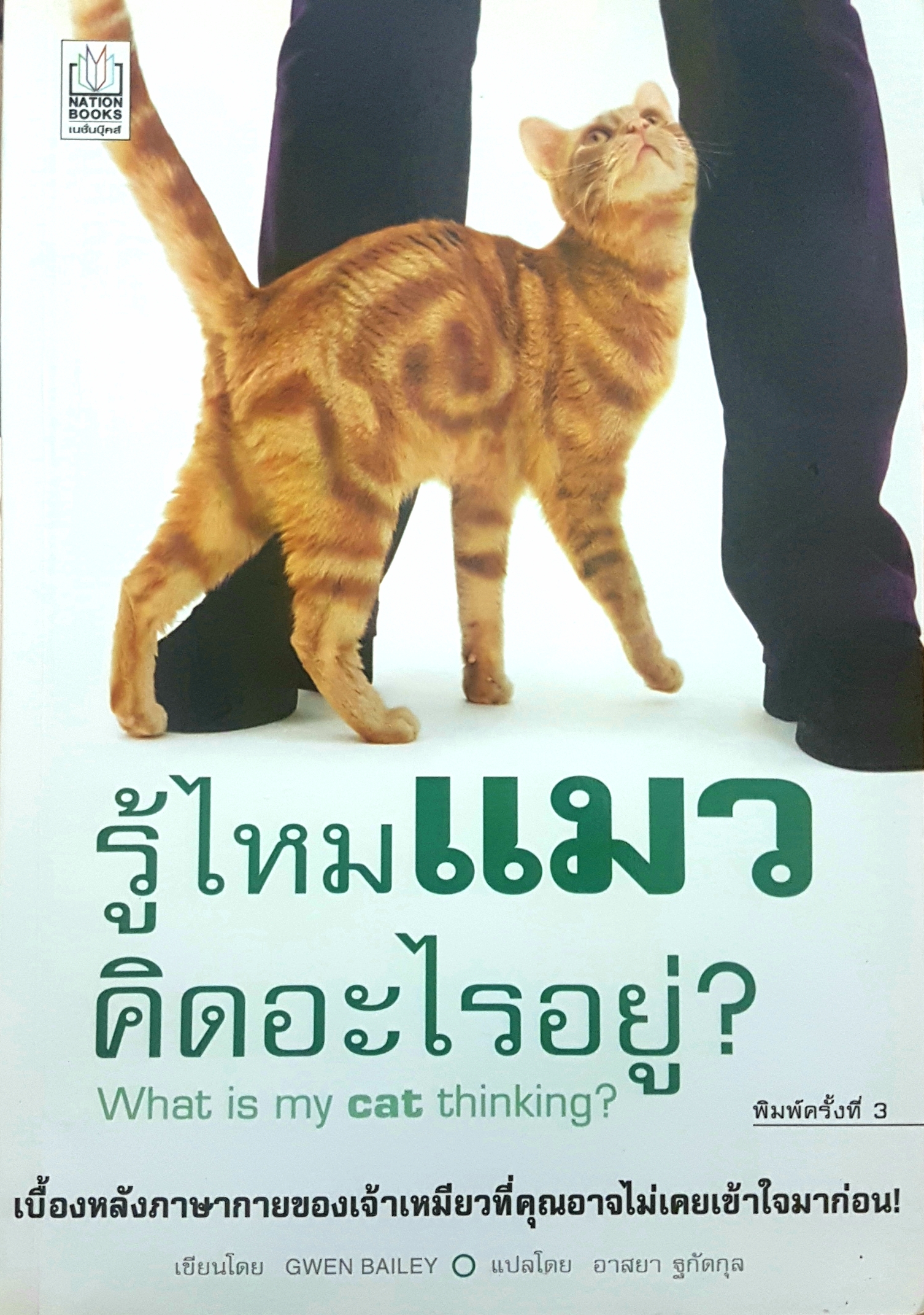 รู้ไหมแมวคิดอะไรอยู่ What is my cat Thinking?