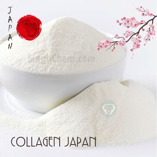 คอลลาเจนญี่ปุ่น (Collagen Japan)