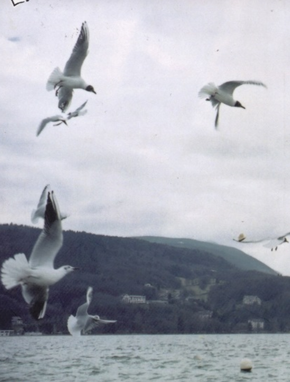 เรื่องเล่าของแม่ ตังซิน