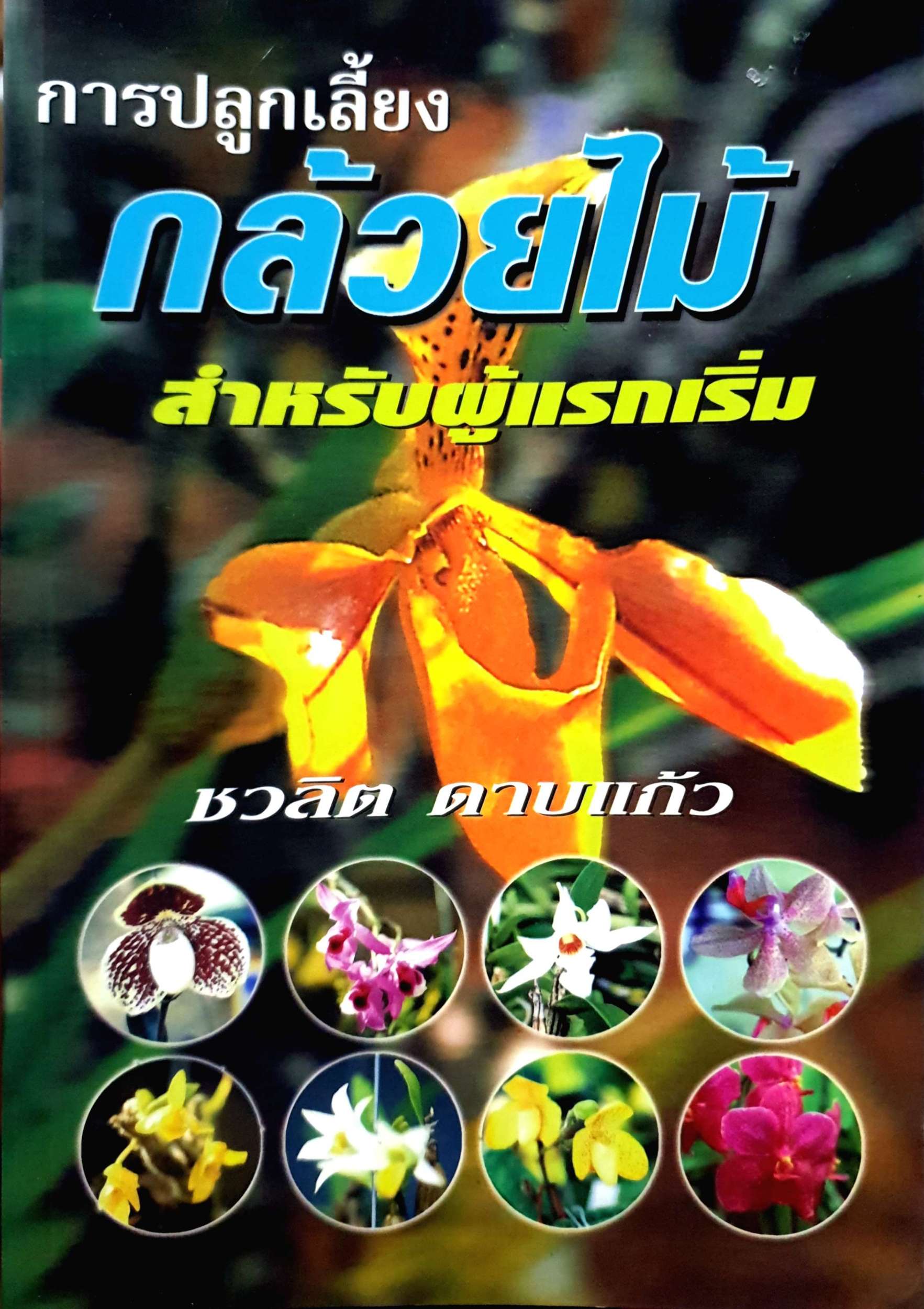 การปลูกเลี้ยงกล้วยไม้ สำหรับผู้แรกเริ่ม ชวลิต ดาบแก้ว