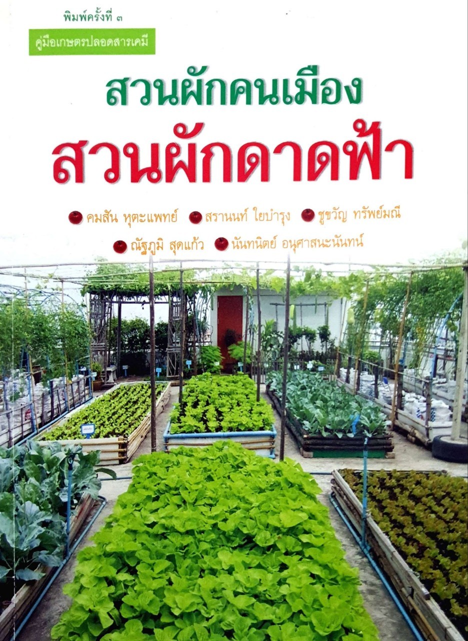 สวนผักคนเมืองสวนผักดาดฟ้า