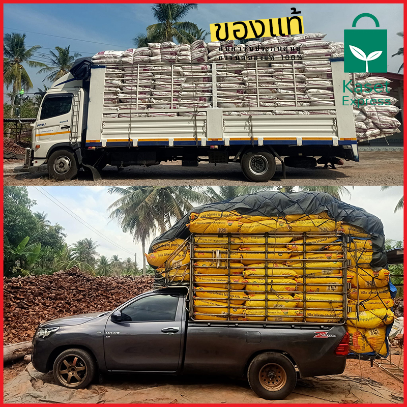 จำหน่ายกาบมะพร้าวสับ คุณภาพดี ราคาส่งจากโรงงาน!