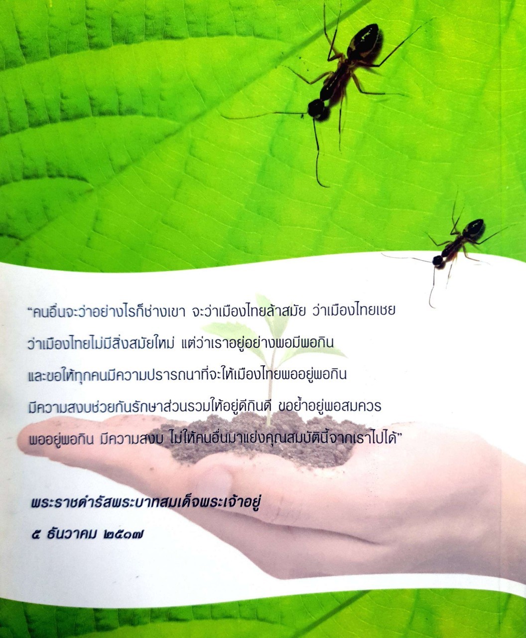 20 คนดังกับการใช้ชีวิตแบบเศรษฐกิจพอเพียง : จิดาภา