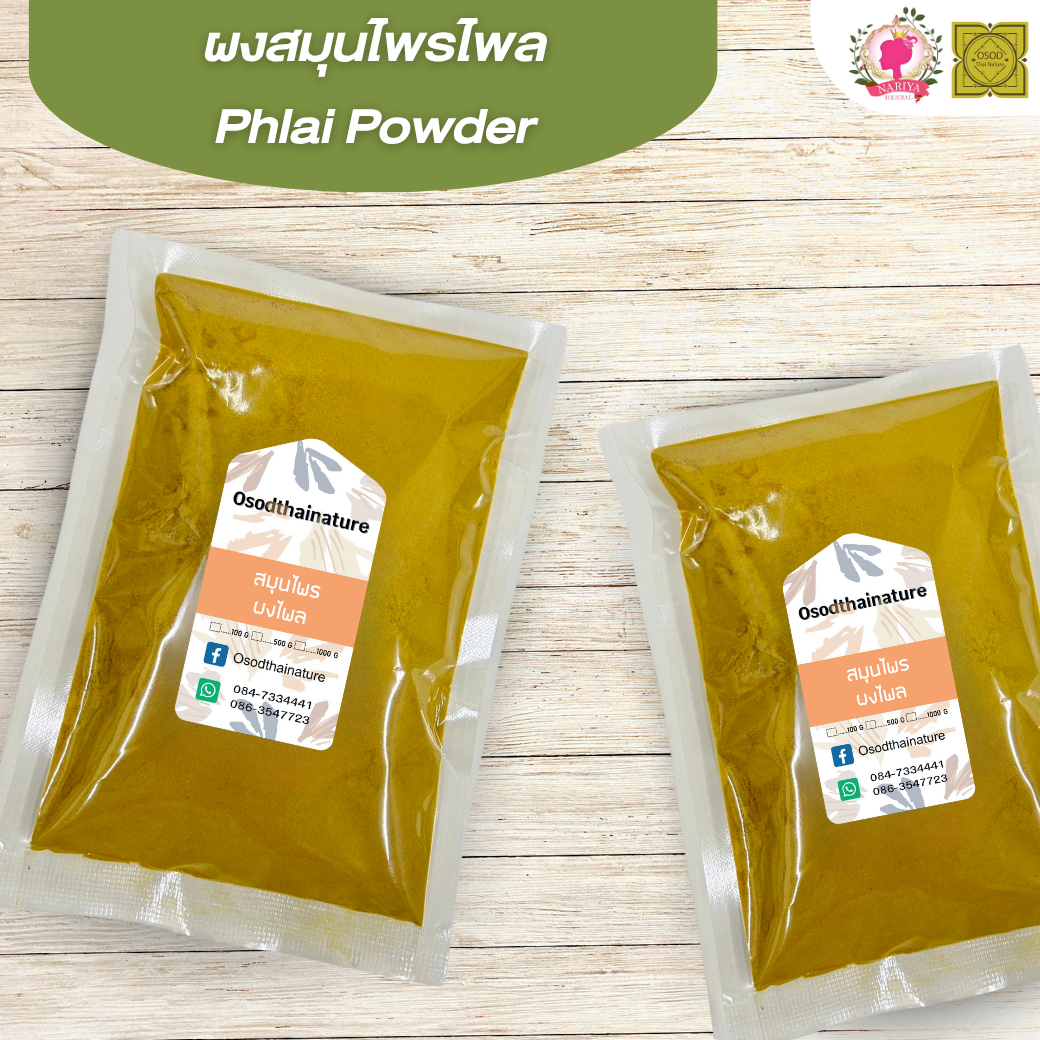 ผงไพล (Plai Powder) ขนาด 500 1000 กรัม ไพล บดละเอียด สมุนไพร แท้ 100% FG-HBP-067