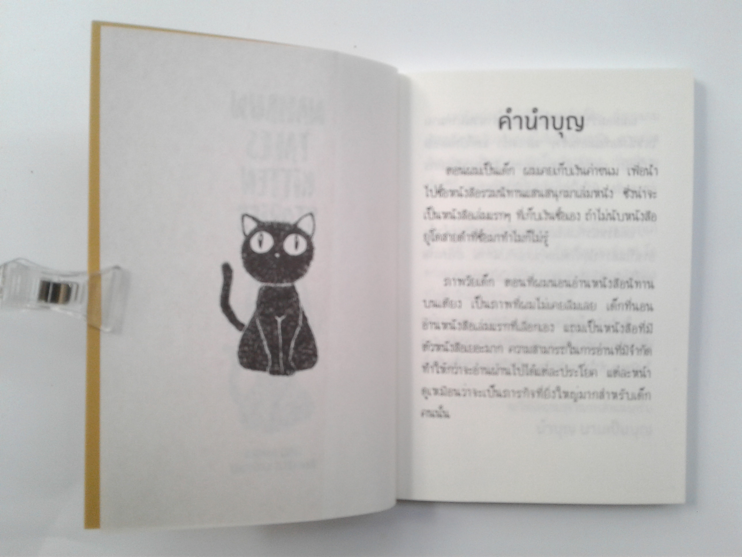 นิทานนำบุญ Nambun Tales เรื่องของแมว หนังสือ วรรณกรรม