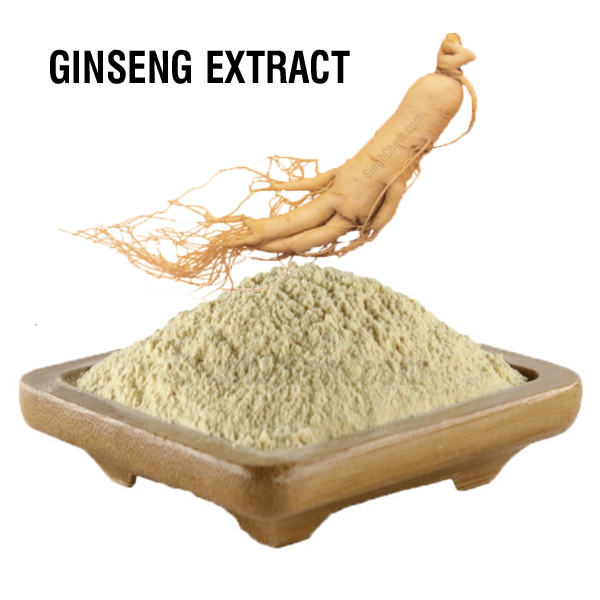 สารสกัดโสม (Ginseng Extract)
