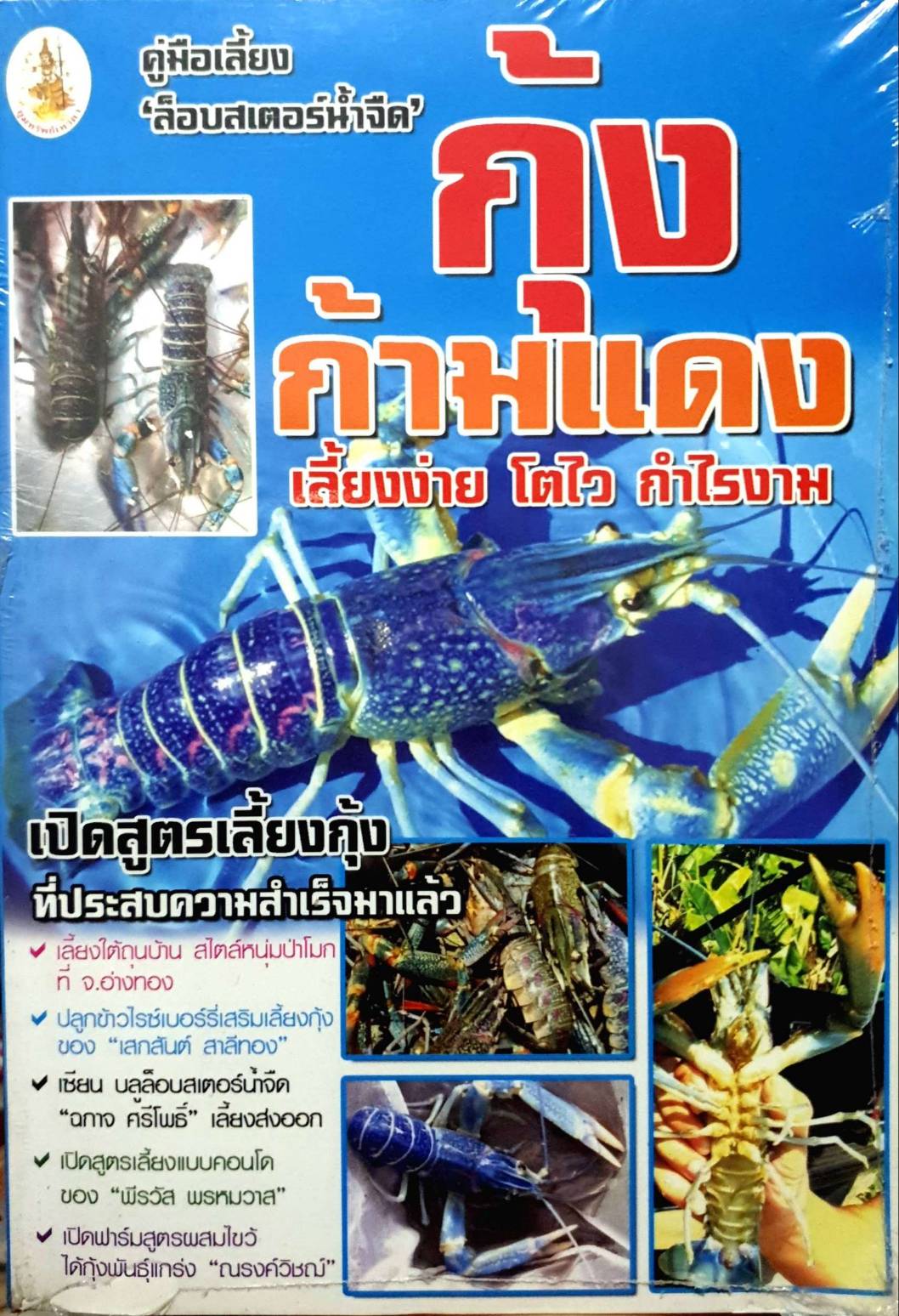 คู่มือเลี้ยง”ล็อบสเตอร์น้ำจืด” กุ้งก้ามแดง เลี้ยงง่าย โตไว กำไรงาม