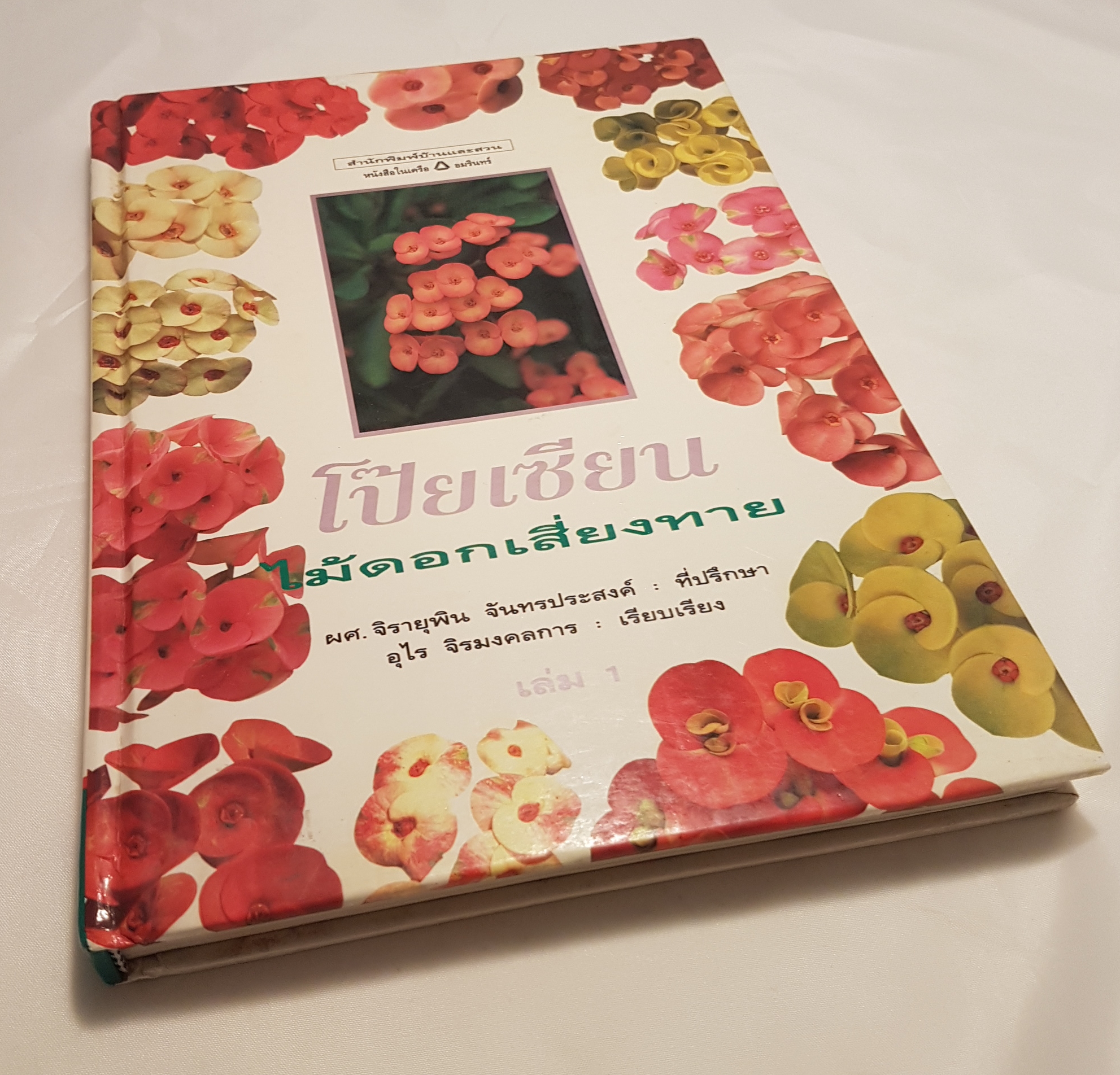 โป๊ยเซียน ไม้ดอกเสี่ยงทาย