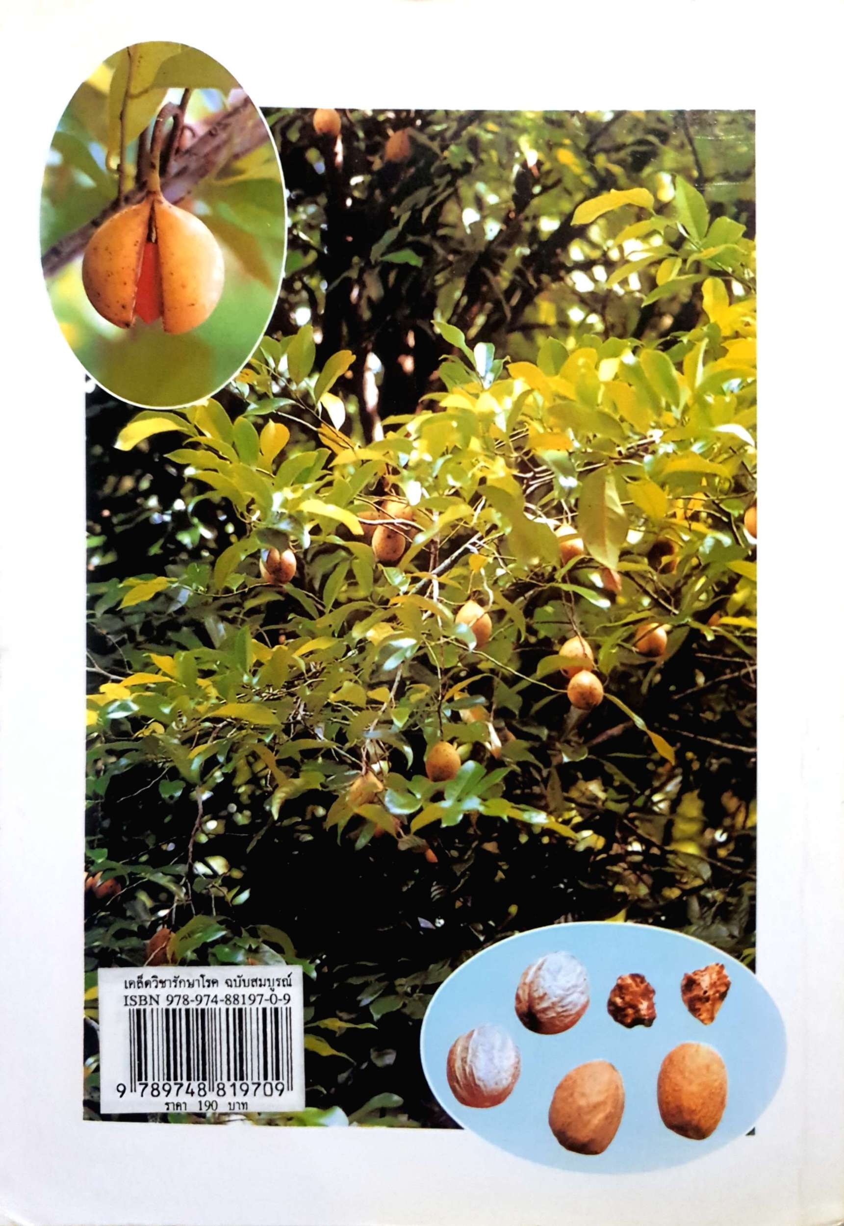 เคล็ดวิชารักษาโรค ฉบับสมบูรณ์ / สิน วิภาวสุ