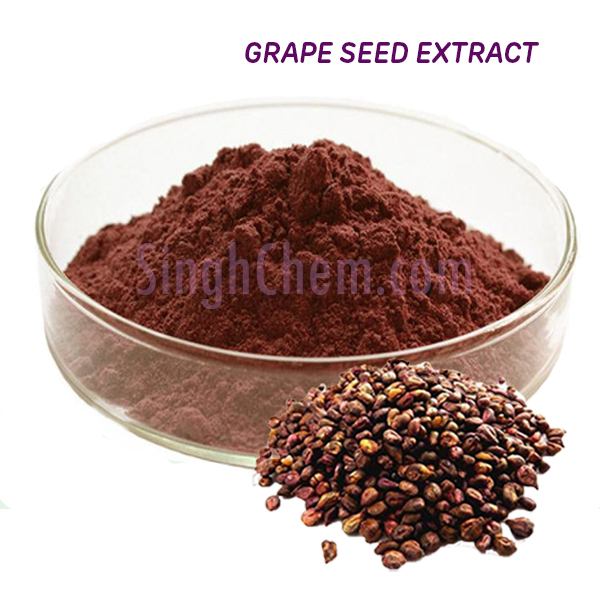 สารสกัดเมล็ดองุ่น (Grape Seed Extract)