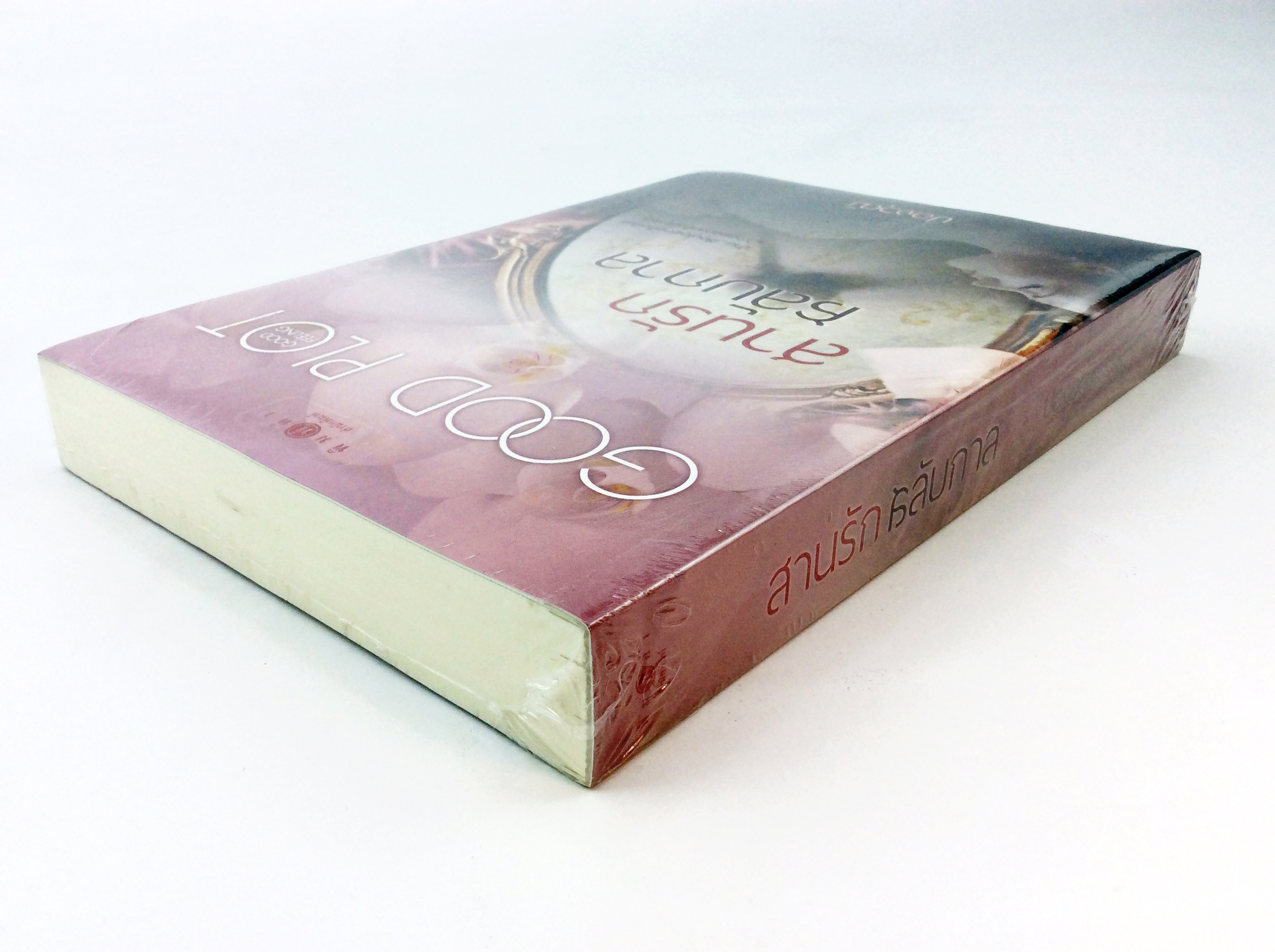 สานรักสลับกาล นิยาย นิยายลดราคา หนังสือนิยาย