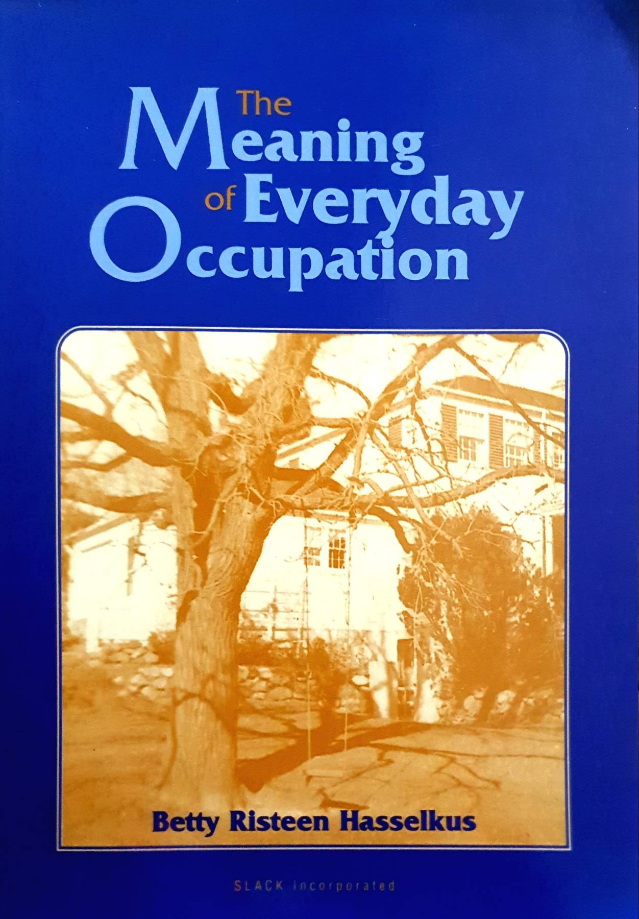The Meaning of Everyday Occupation : Betty R. Hasselkus