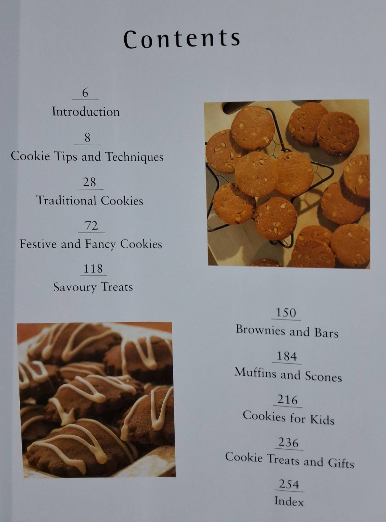 The Great Big Cookie Book: Over 200 Recipes for Cookies, Brownies, Scones, Bars and Biscuits