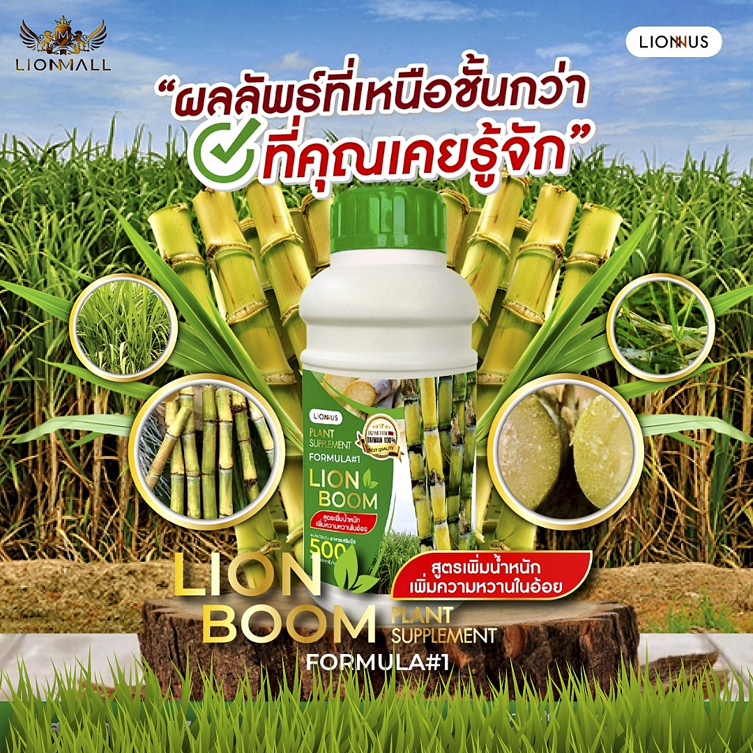 Lion Boom Formula #1 อาหารเสริมพืซ สูตรเพิ่มน้ำหนัก เพิ่มความหวานในอ้อย