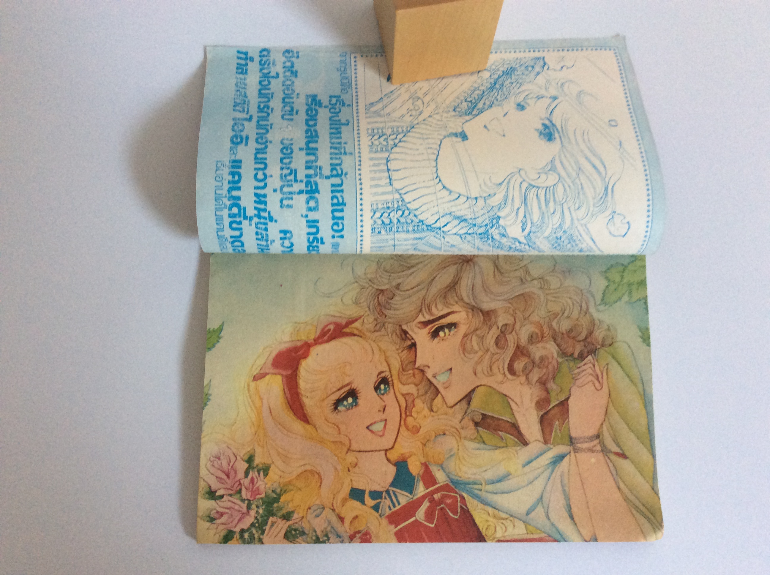 รักแท้ การ์ตูน การ์ตูนหายาก หนังสือสะสม หนังสือเก่า หนังสือ