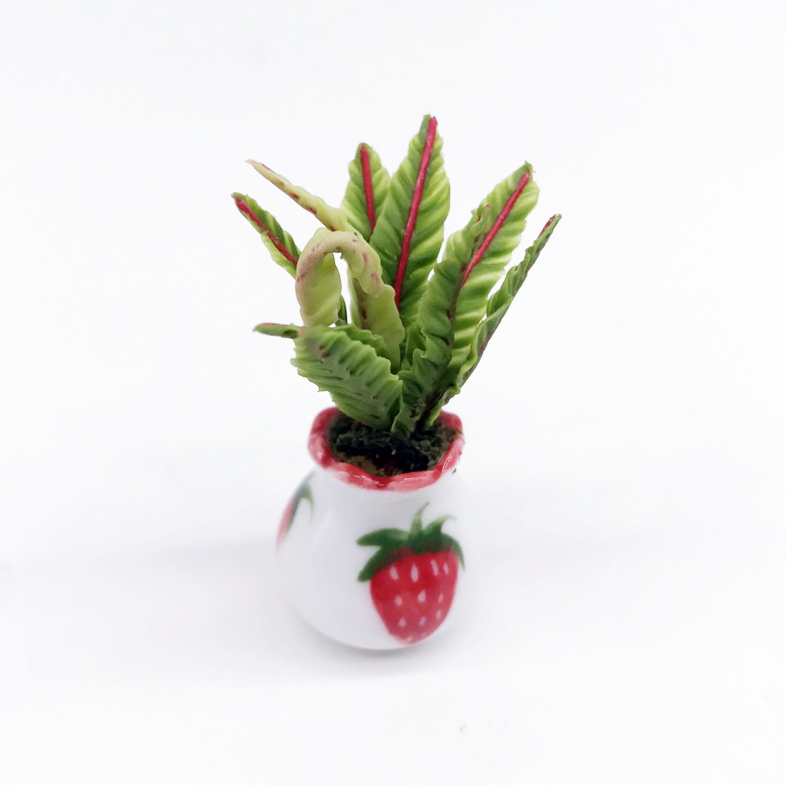 Miniature plant in ceramic pot