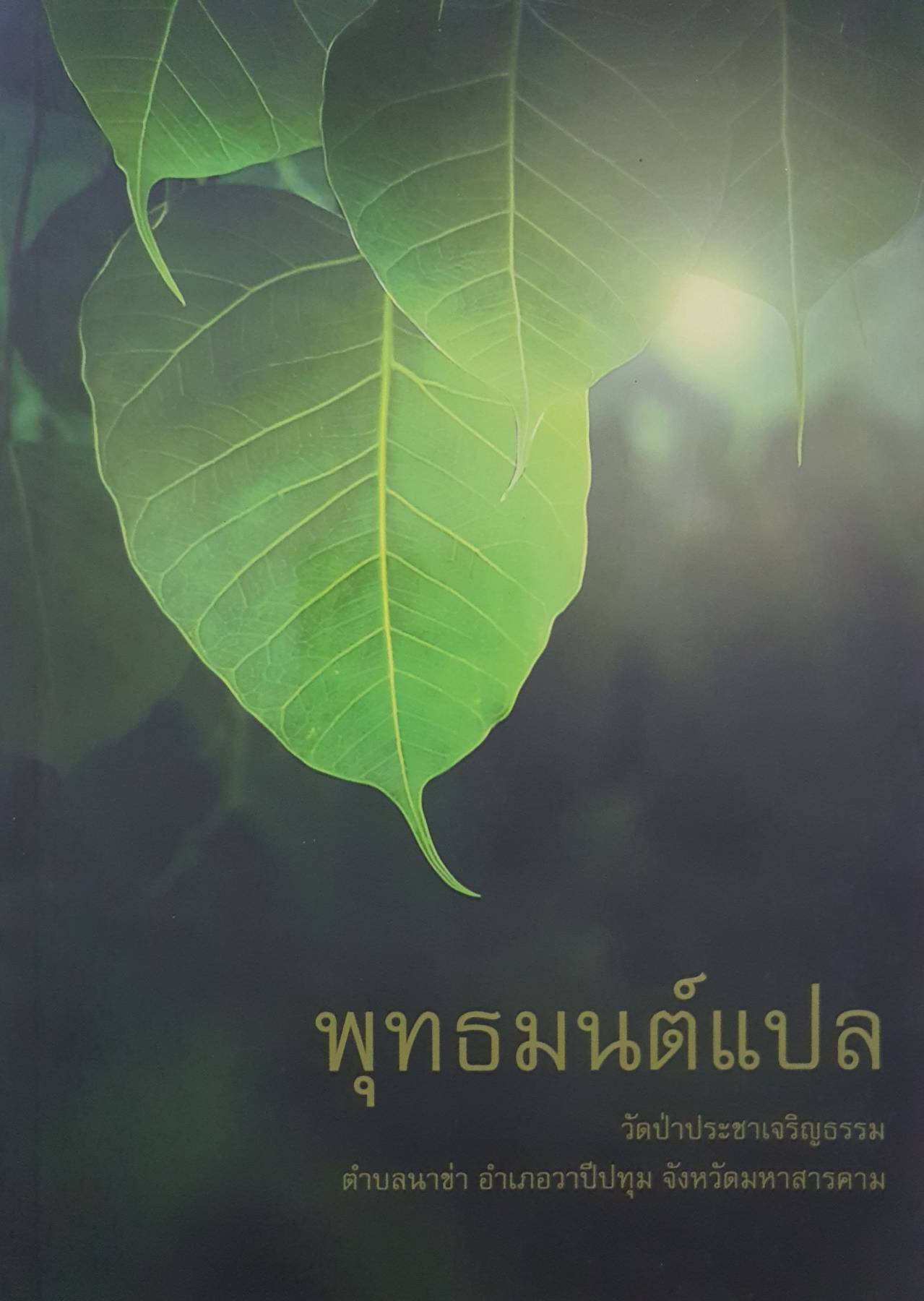 พุทธมนต์แปล วัดป่าประชาเจริญธรรม ตำบลนาข่า อำเภอวาปีปทุม จังหวัดมหาสารคาม