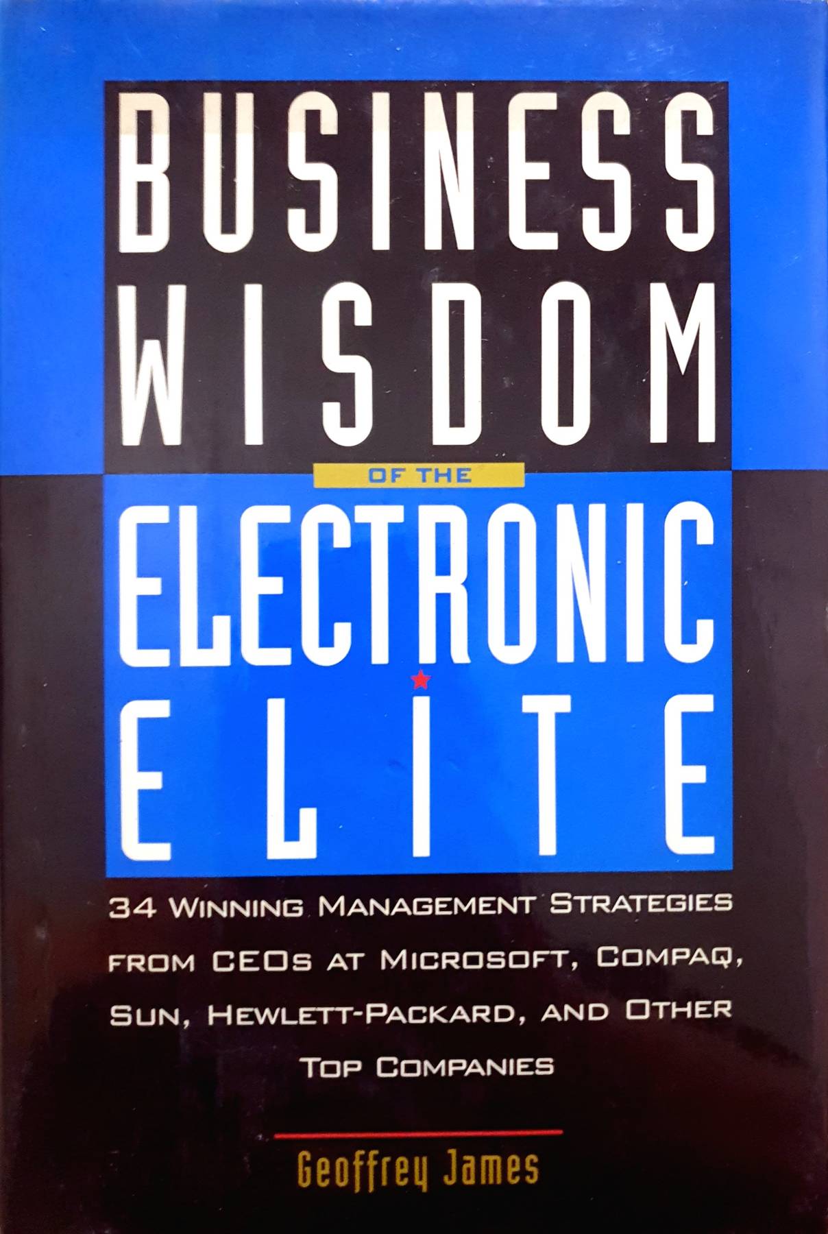 Business Wisdom of the Electronic Elite: 34 Winning Management Strategies from C EOs at Microsoft,: COMPAQ, Sun, Hewlett-Packard, and Other Top Companies : Geoffrey James