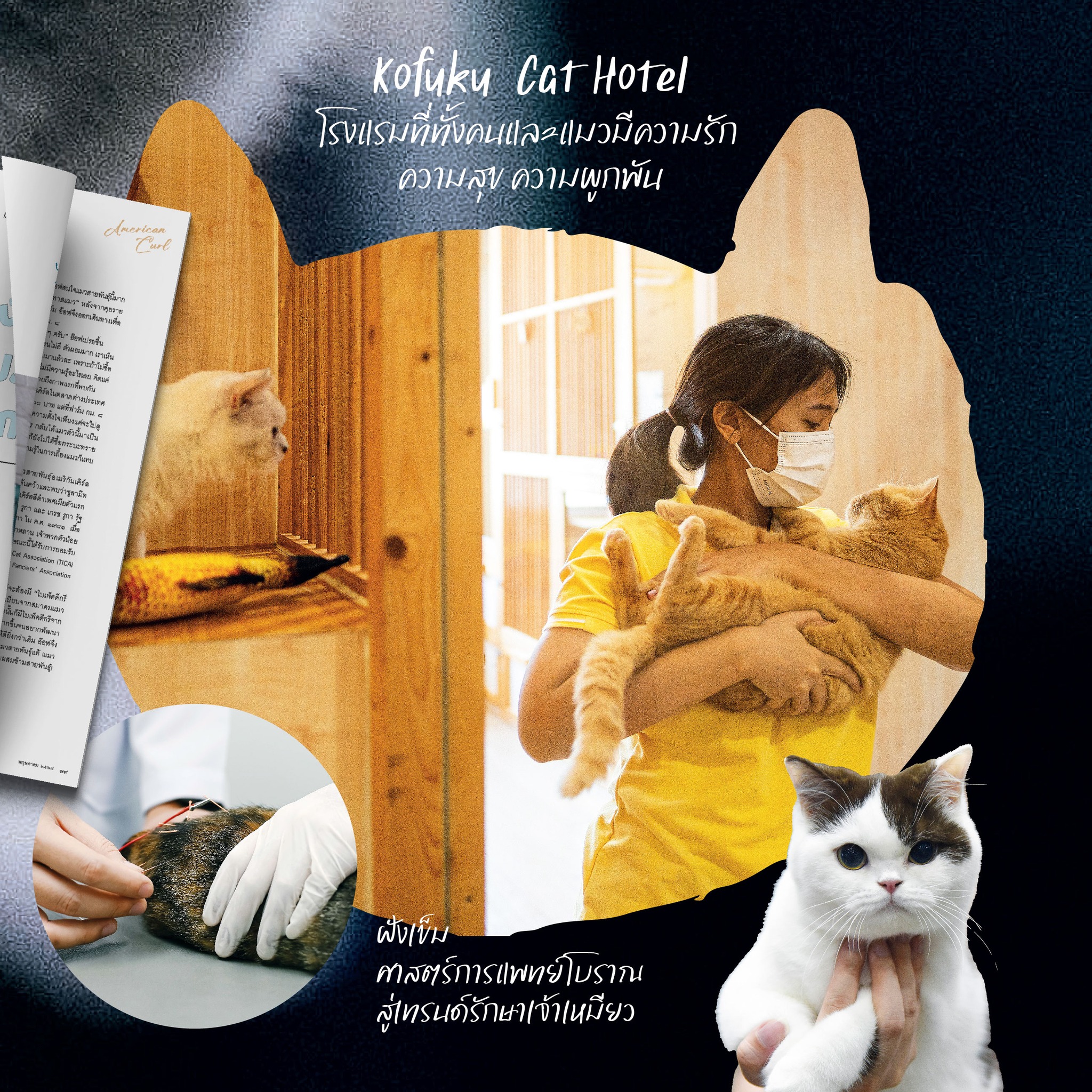 นิตยสารสารคดี ฉบับ 470 พฤษภาคม 2567 แมว🐱