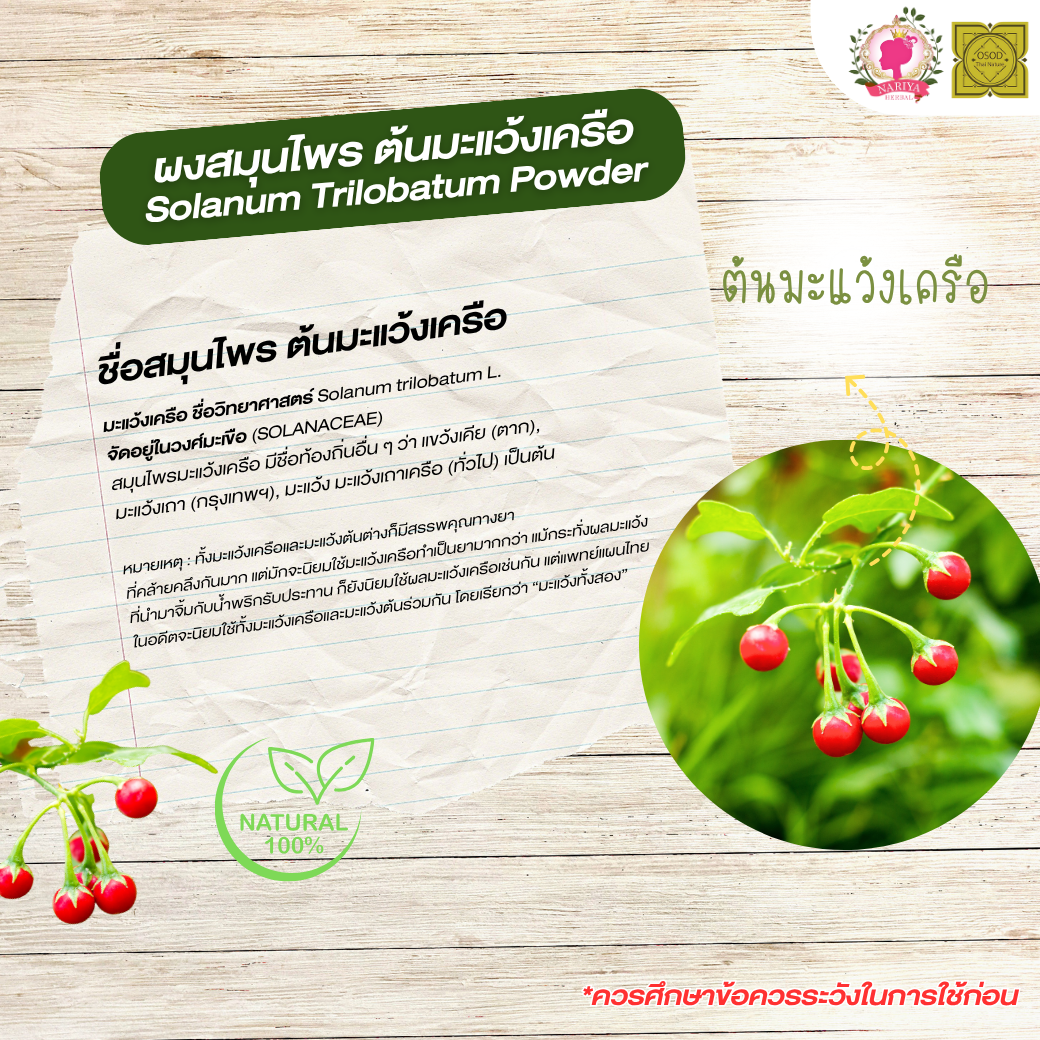 ผงต้นมะแว้ง (Solanum Trilobatum Powder) ขนาด 500 1000 กรัม ต้นมะแว้ง บดละเอียด สมุนไพร แท้100% FG-HBP-036