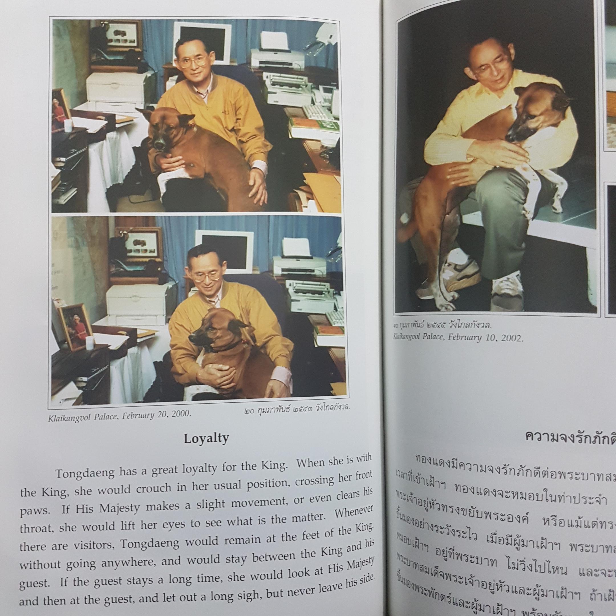 พระราชนิพนธ์พระบาทสมเด็จพระเจ้าอยู่หัวภูมิพลอดุลยเดช เรื่องทองแดง