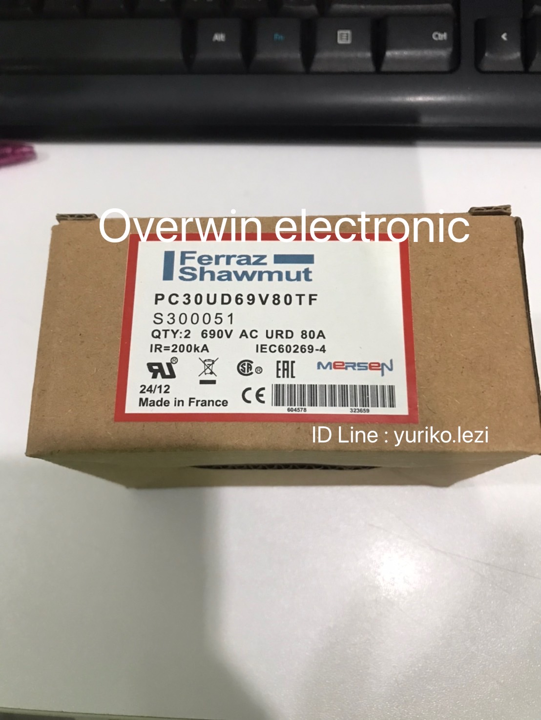 Ferraz Shawmut Protistor S300051 690V 80A S/N 17F670008
