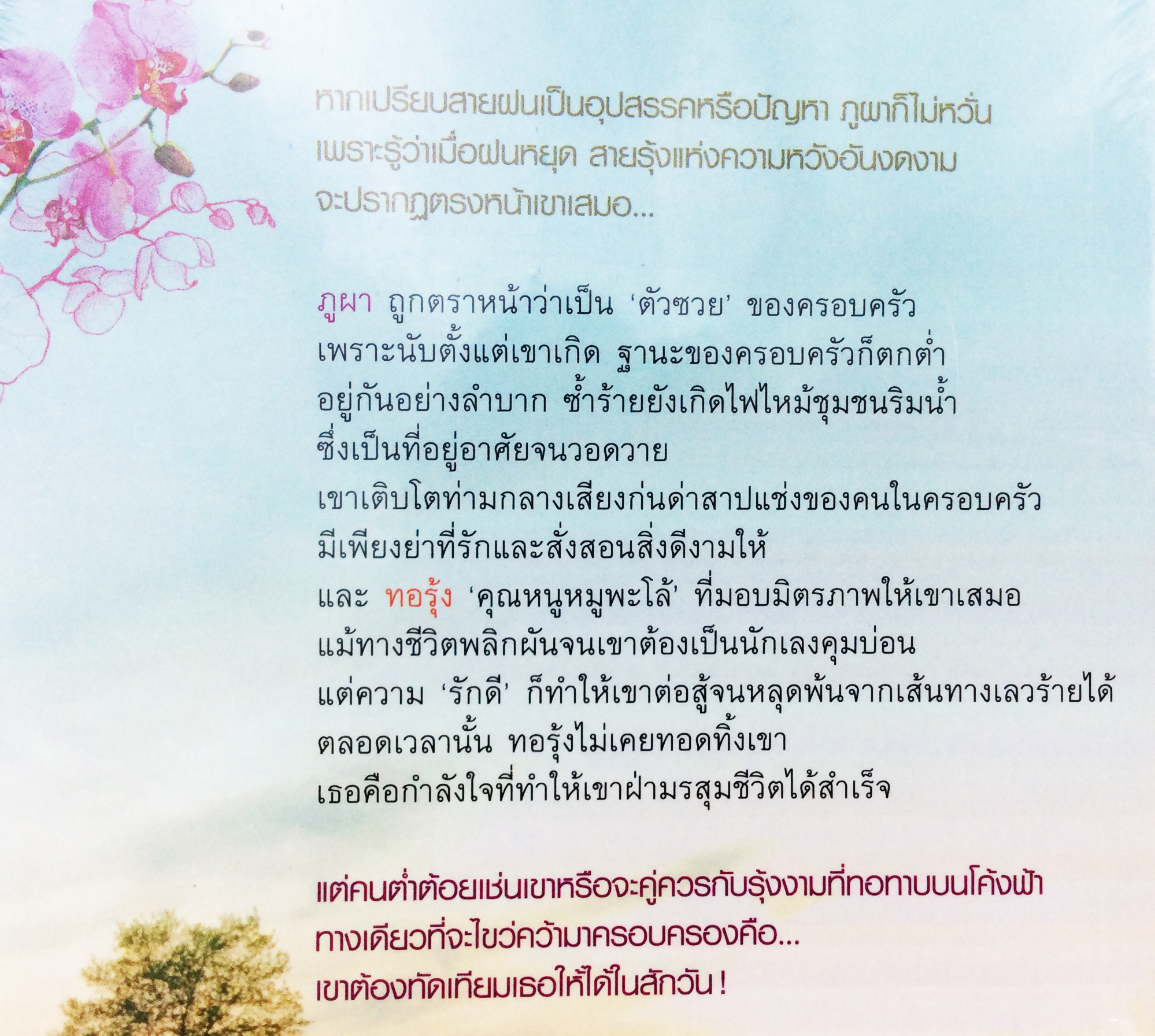 ฝากรักไว้ที่ปลายรุ้ง นิยาย นิยายลดราคา หนังสือนิยาย