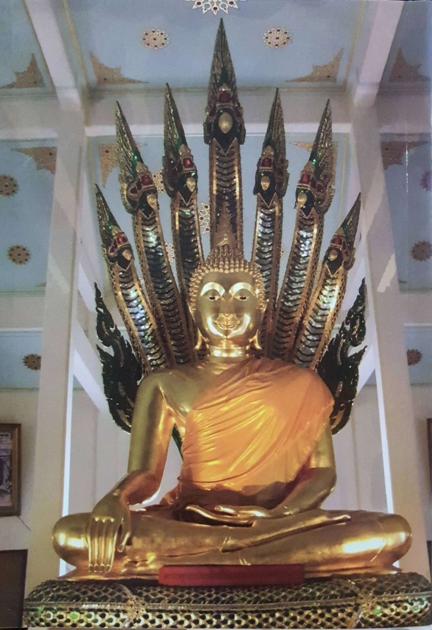 ถึงอย่างไรก็ต้องตาย : หลวงตาหมอ วัดพุทธภาวนาราม สมุทรปราการ