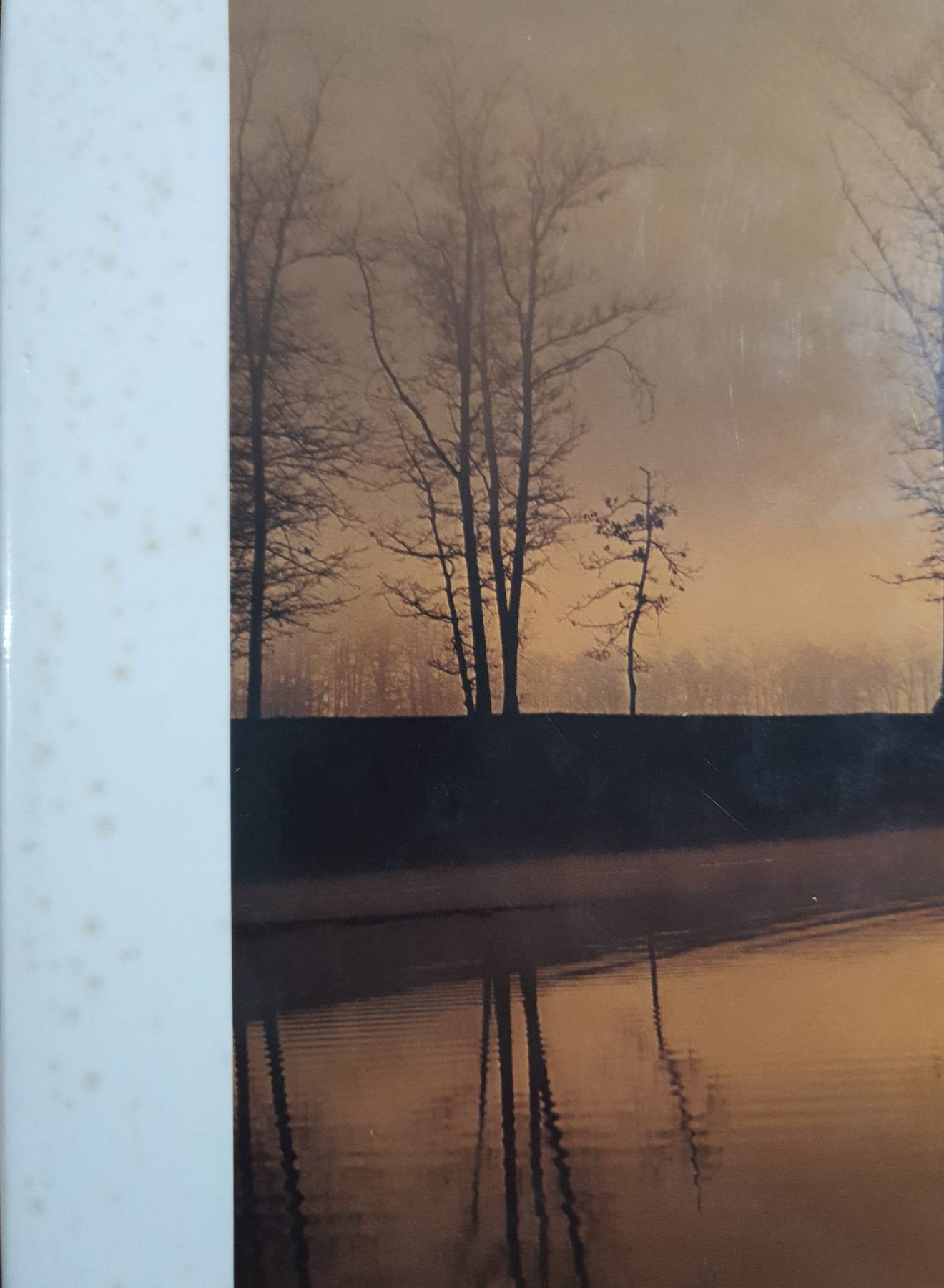 Michigan (Hardcover) by Stan Osolinski (Author), 1983