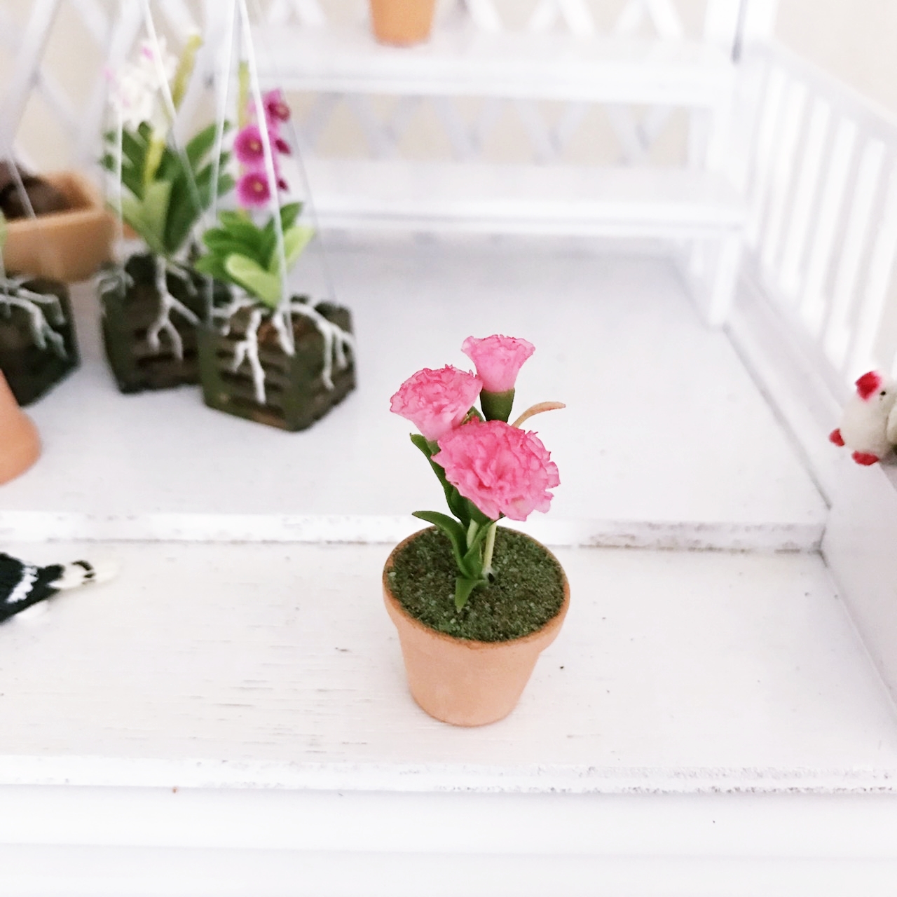 Miniature Carnation (Pink) in pot 2.0 cm.