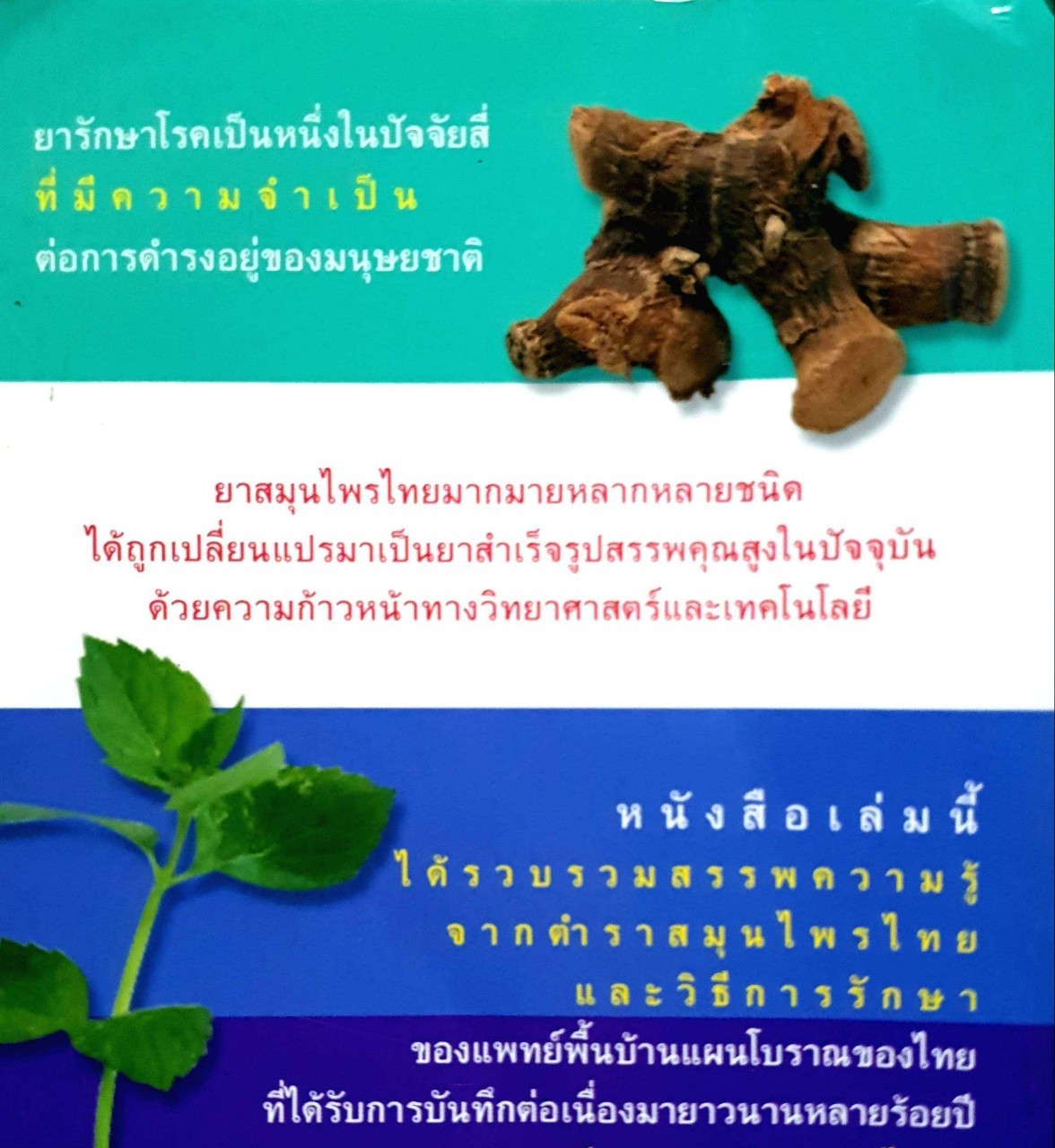 มหัศจรรย์สมุนไพรไทย