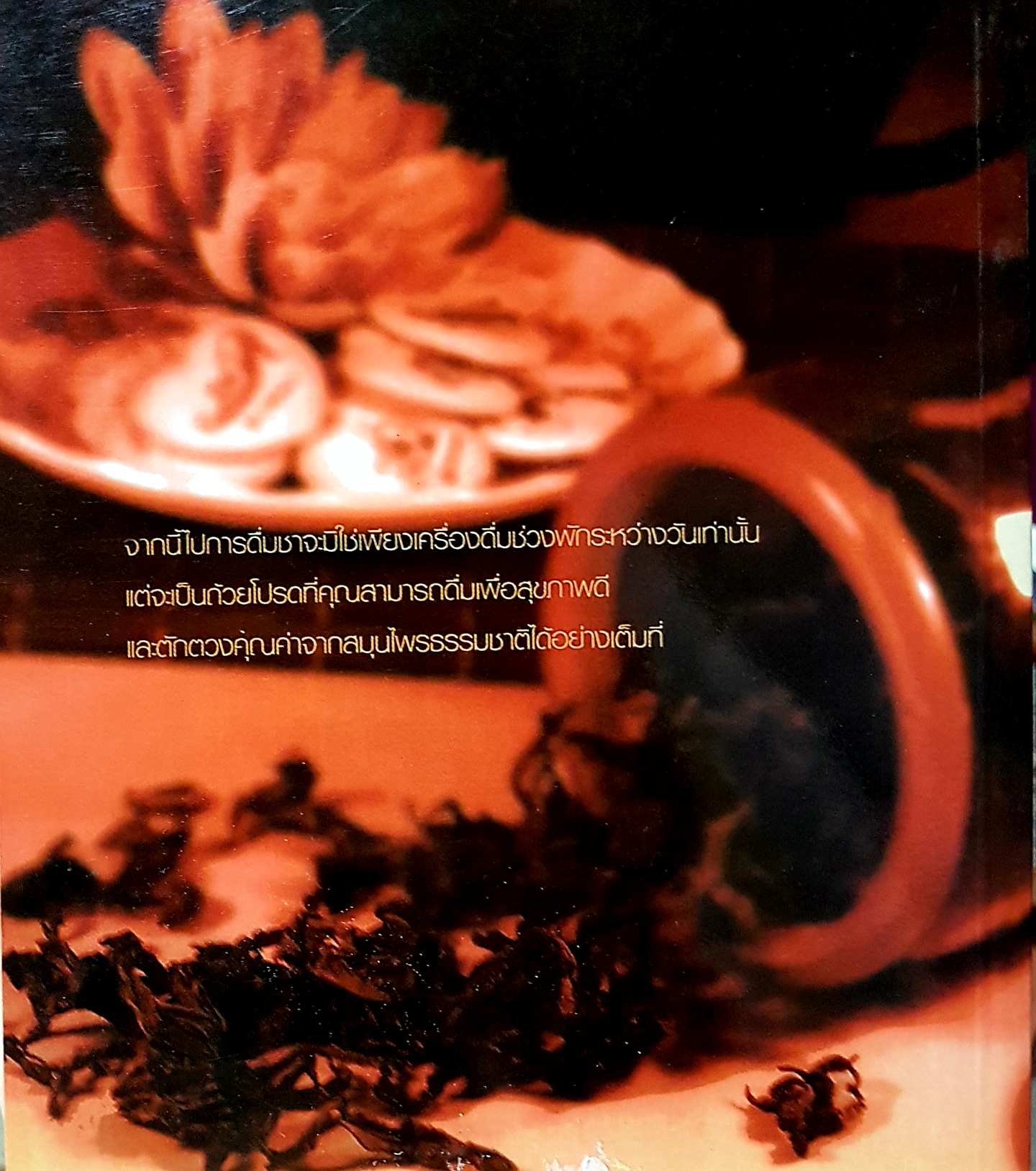 ชาสมุนไพรรสเลิศ บำรุงสุขภาพ บำบัดโรค