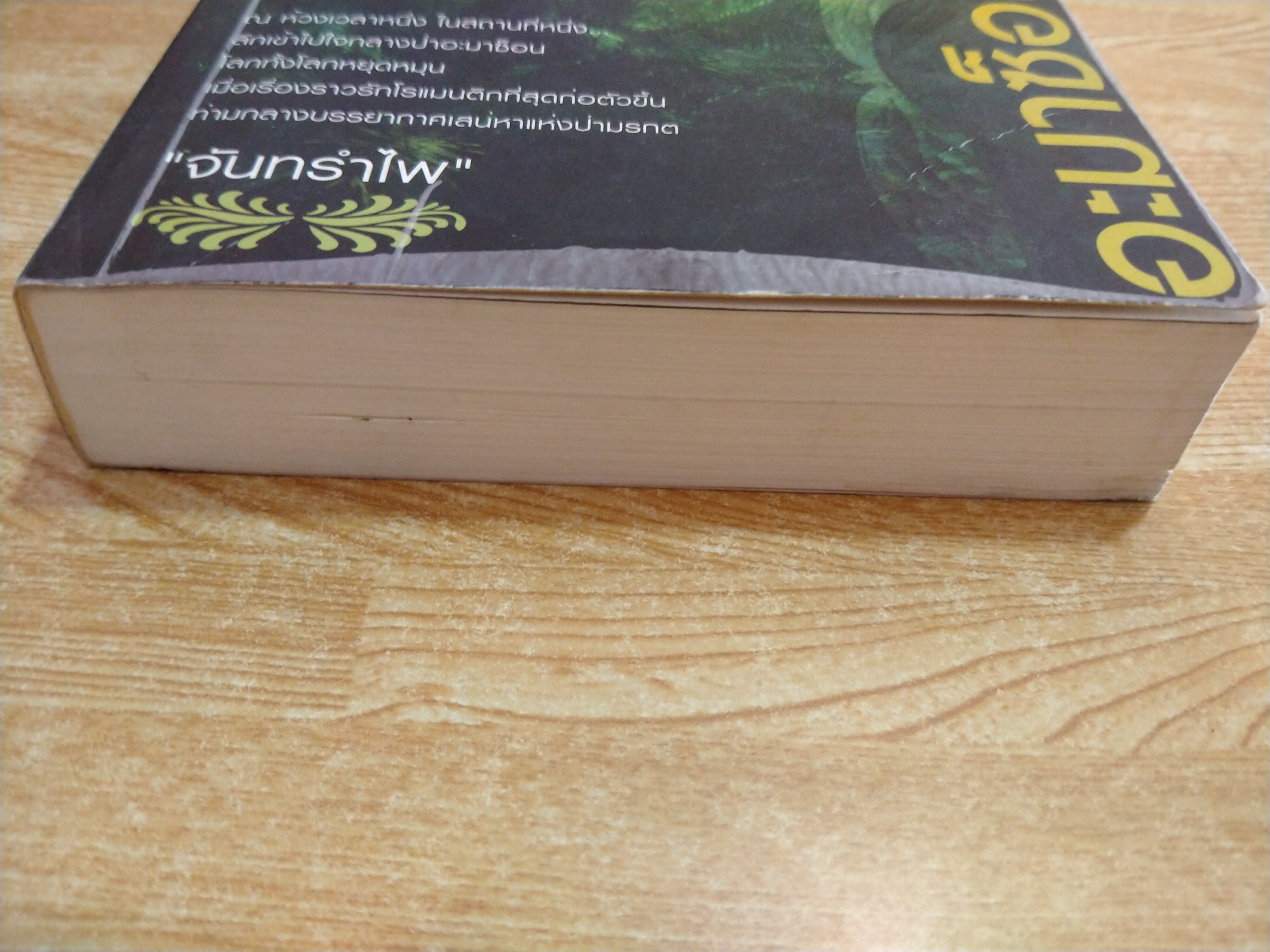 อะมาซ็อน...พิศวาส