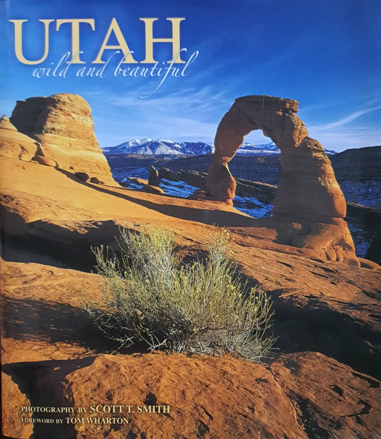 Utah Wild and Beautiful Hardcover – Illustrated,